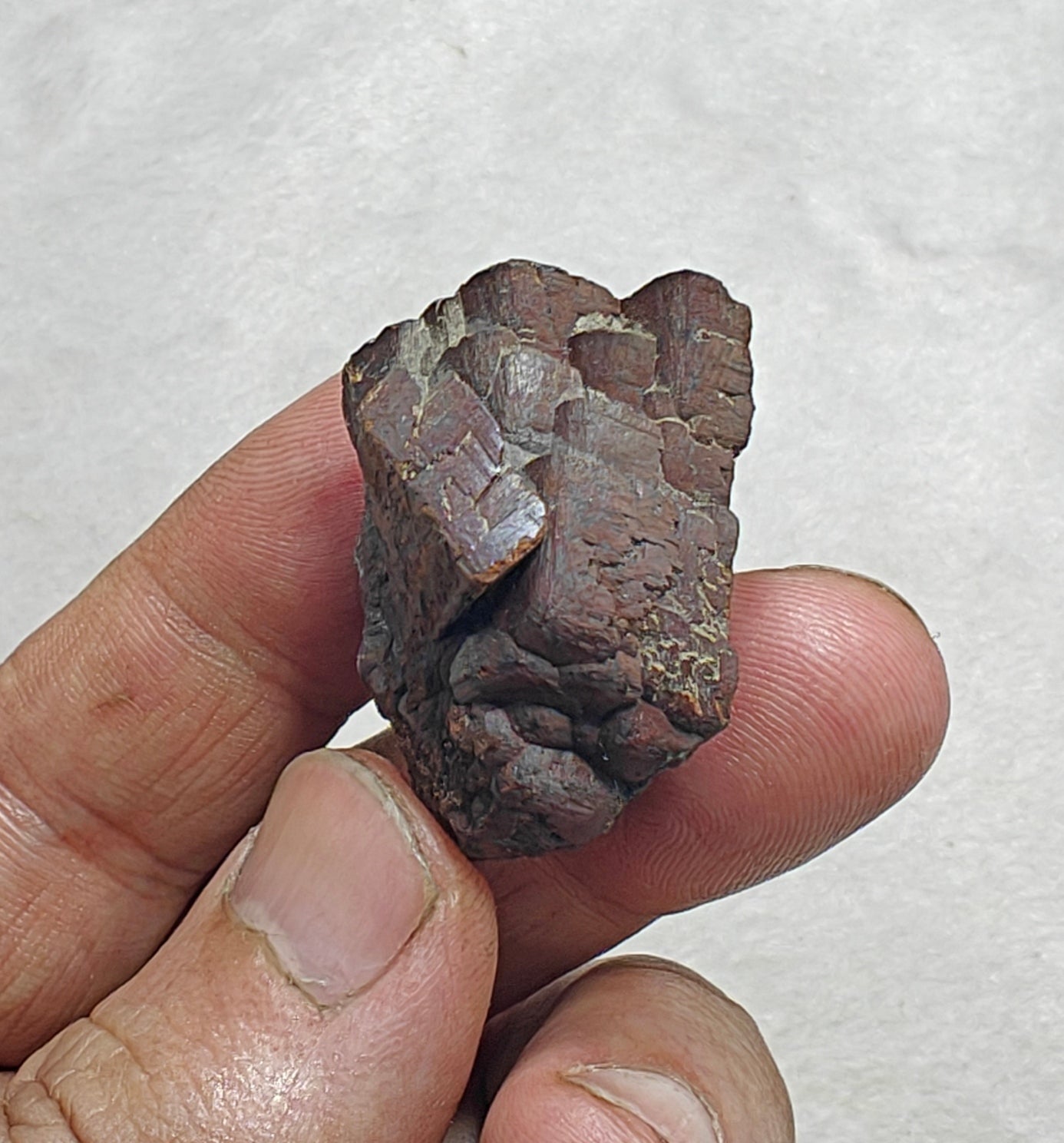 Natural siderite crystal 18 grams