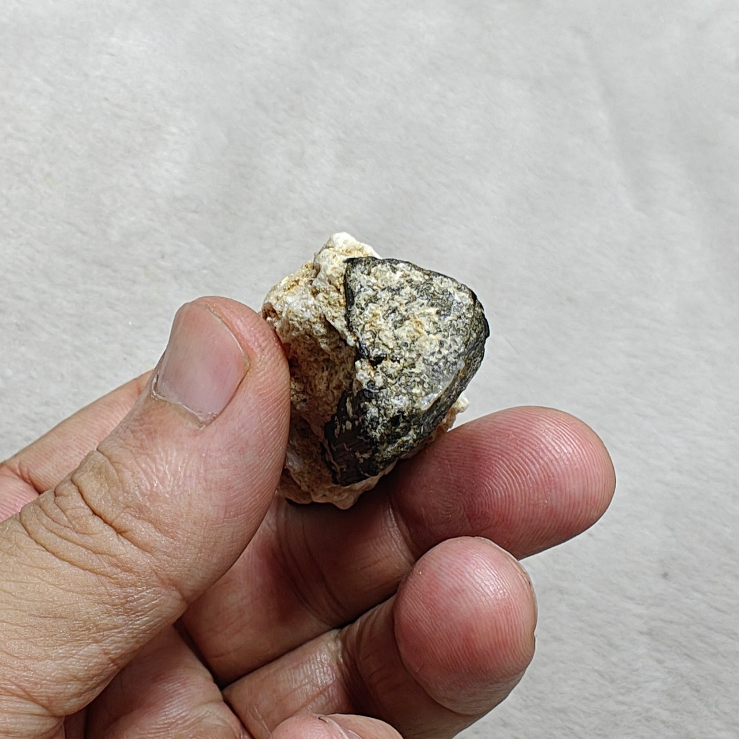 Natural Tourmaline crystal with associated Albite 47 grams