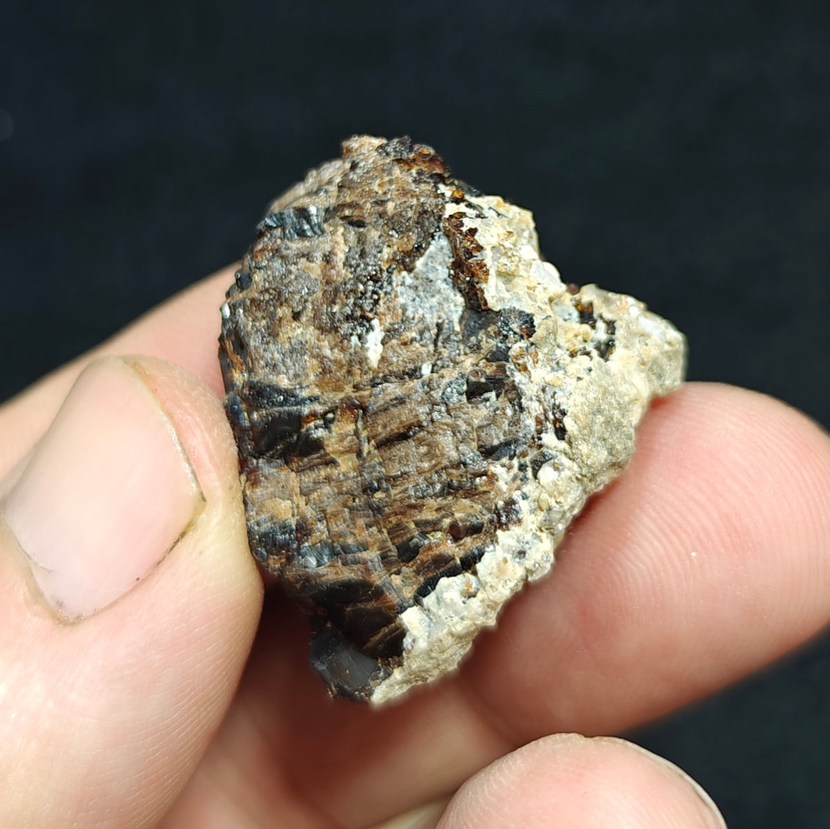 Natural dark brown Vesuvianite 19 grams