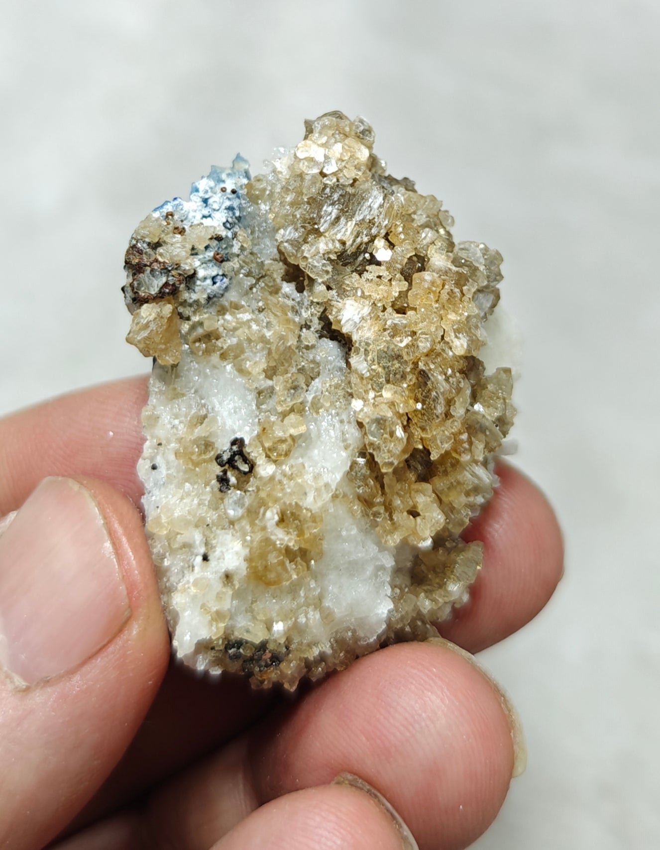 Afghanite Fluorescent in matrix with some pyrite and phlogopite 25 grams