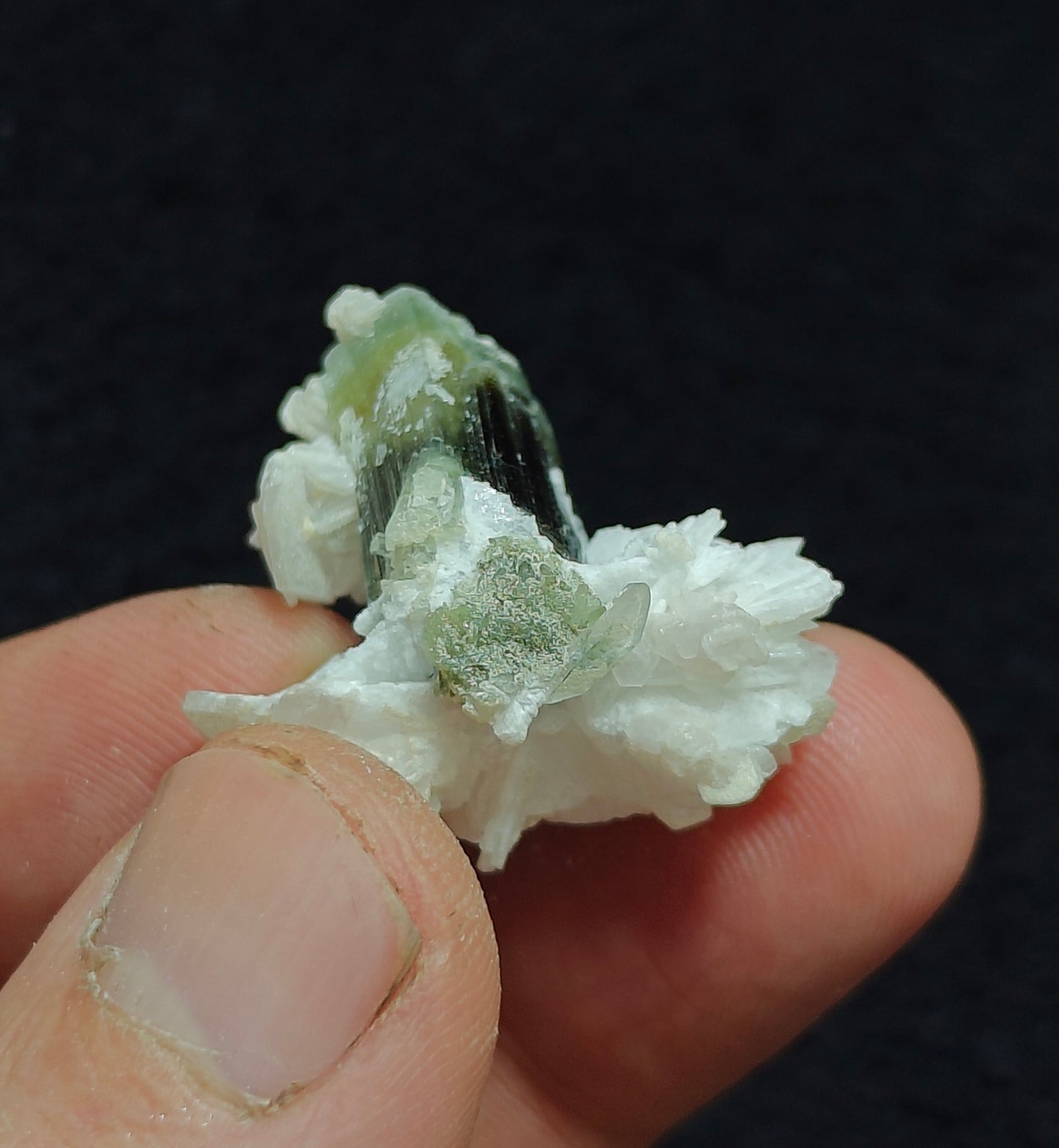 Natural dark green Tourmaline crystal and associated cleavlandite 10 grams