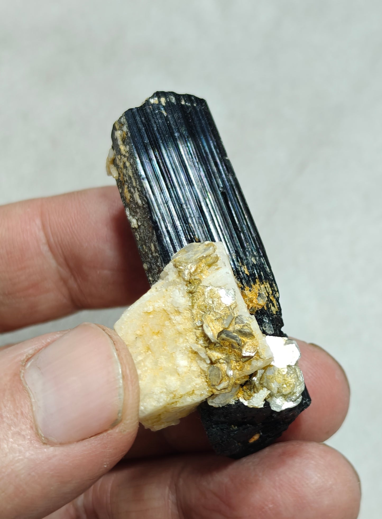 Natural Tourmaline crystal with Albite and Muscovite 38 grams