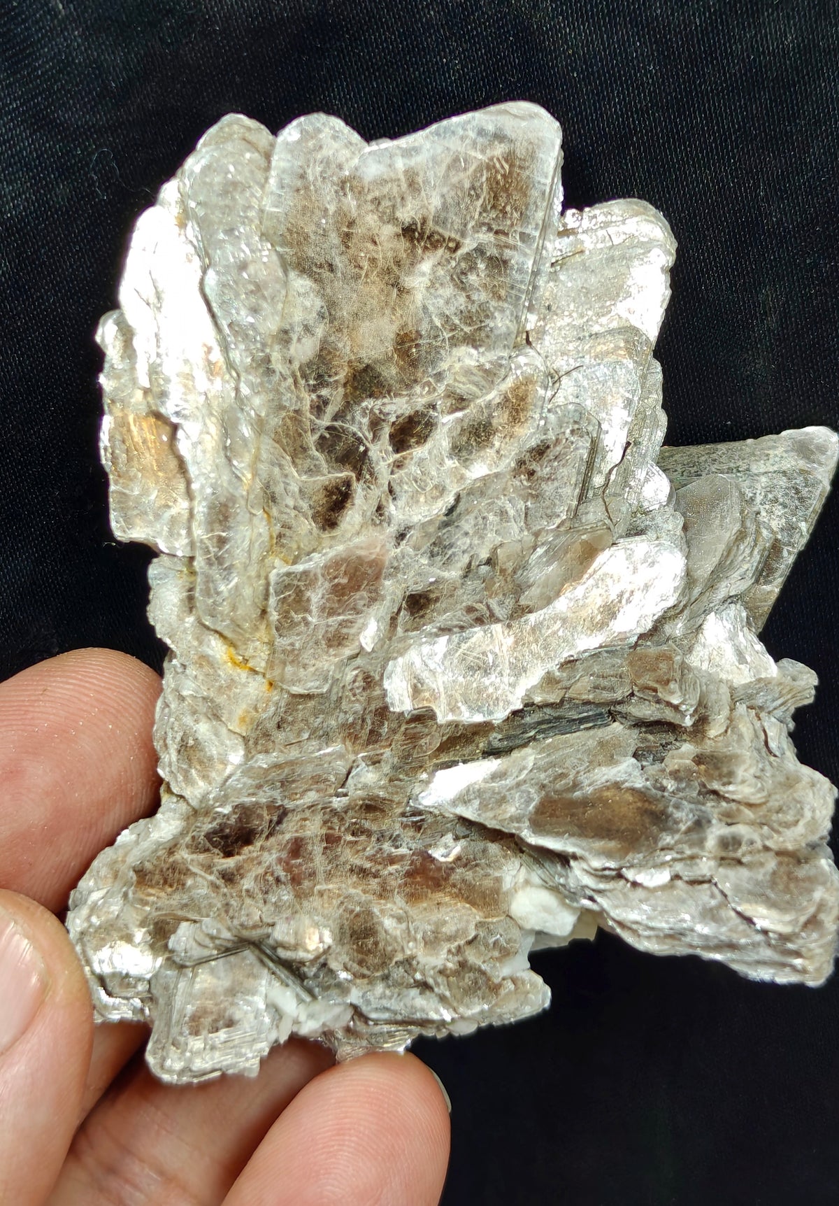 Natural spessartine garnet embedded in muscovite with albite 152 grams