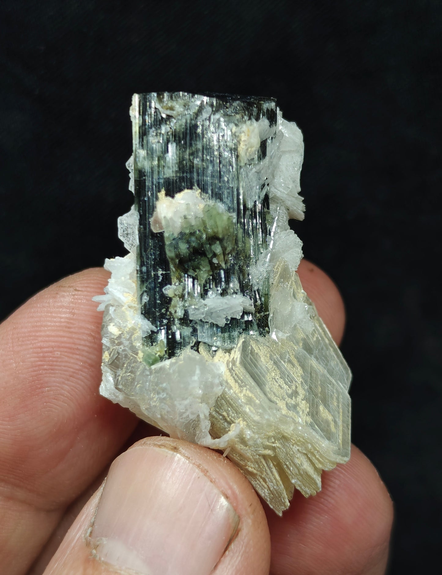 Natural dark green color Tourmaline crystal with associated cleavelandite, muscovite and a small quartz 24grams