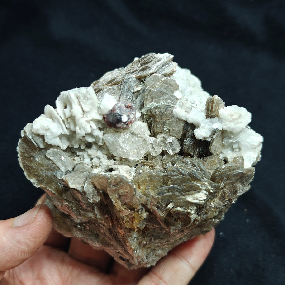 Natural spessartine garnet embedded in muscovite, with albite and quartz 544 grams