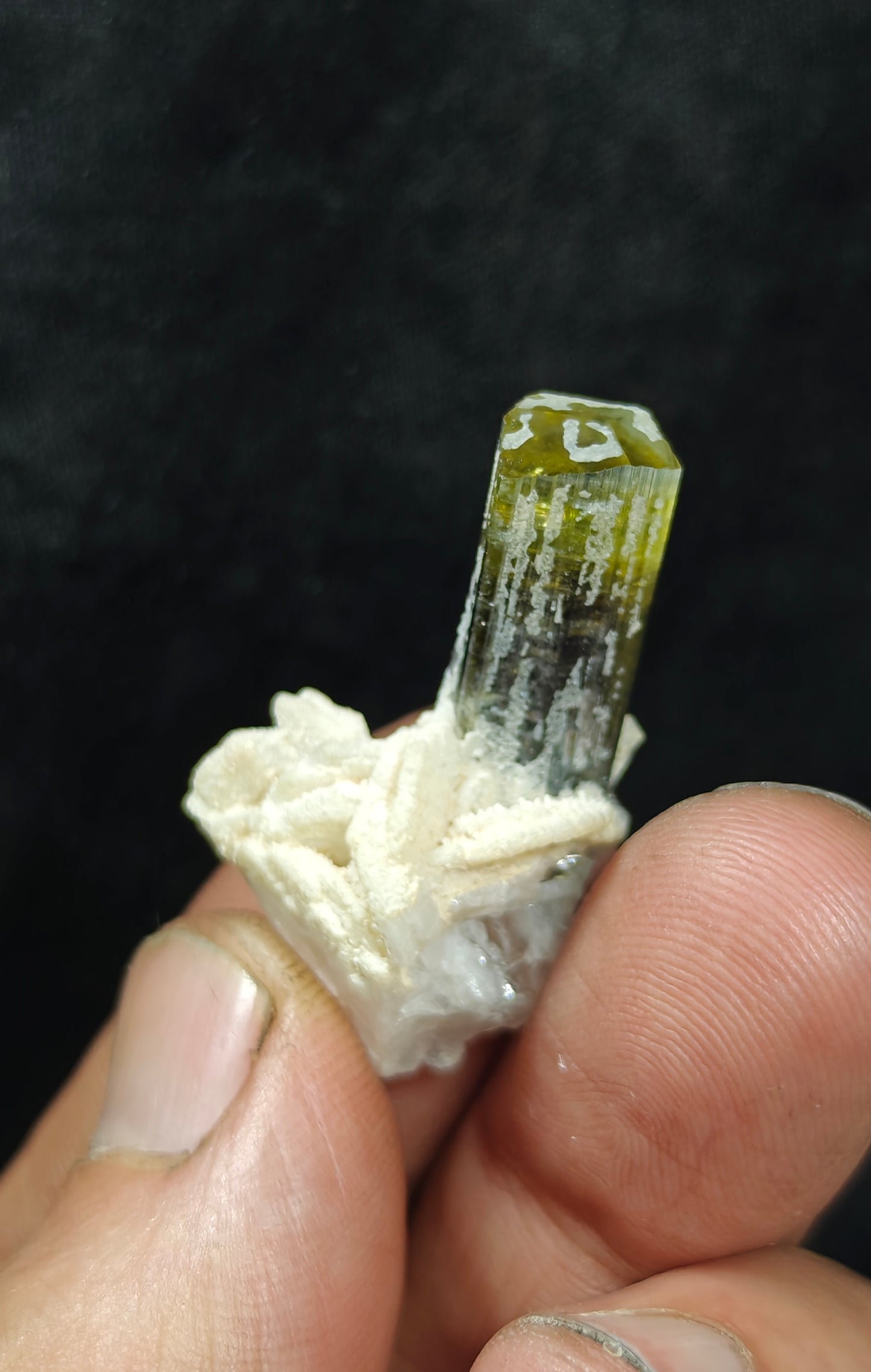 Natural multicolor Tourmaline crystal and associated cleavlandite and a bit of quartz 8 grams