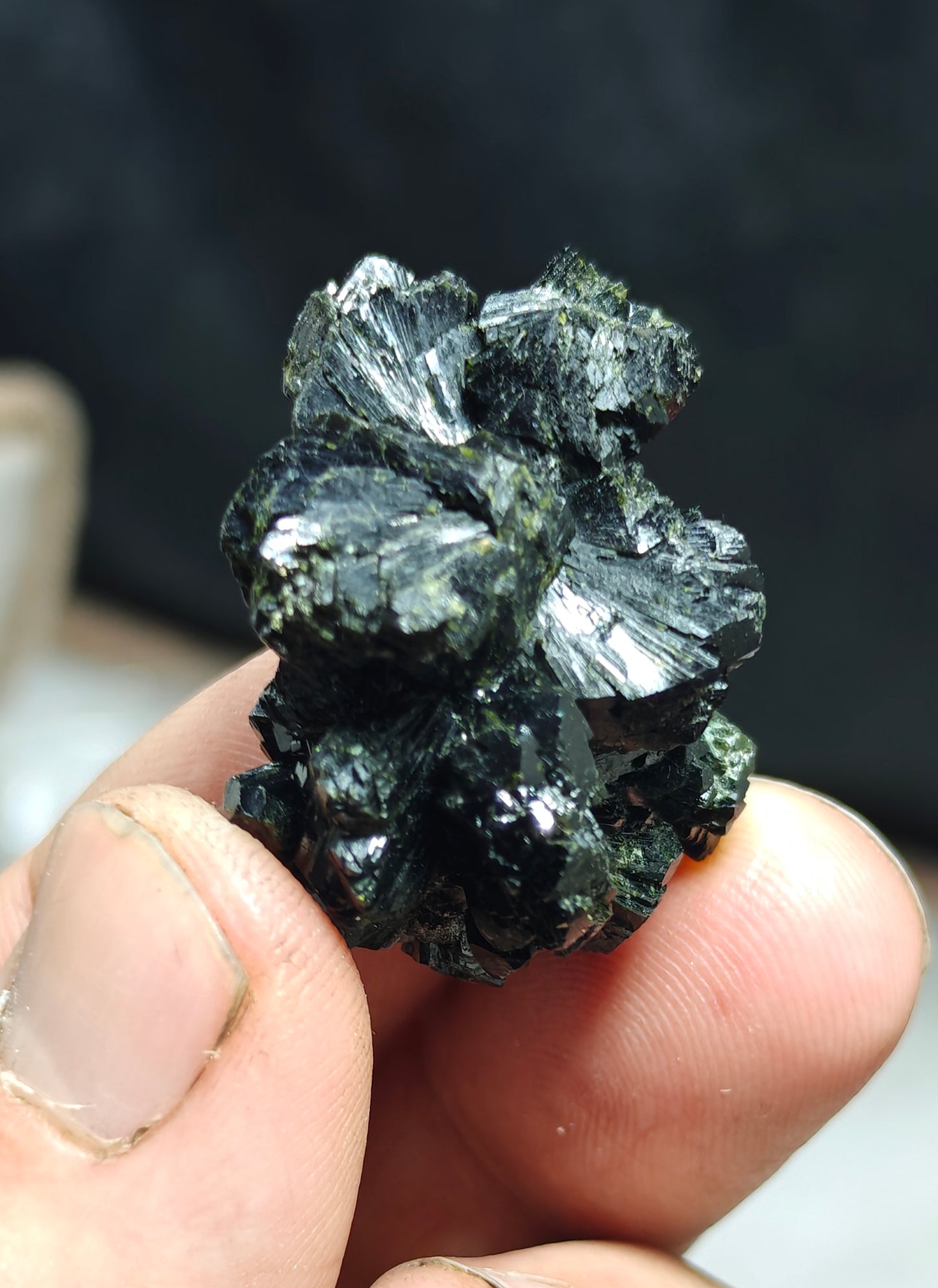 Bowtie Epidote spray cluster 23 grams