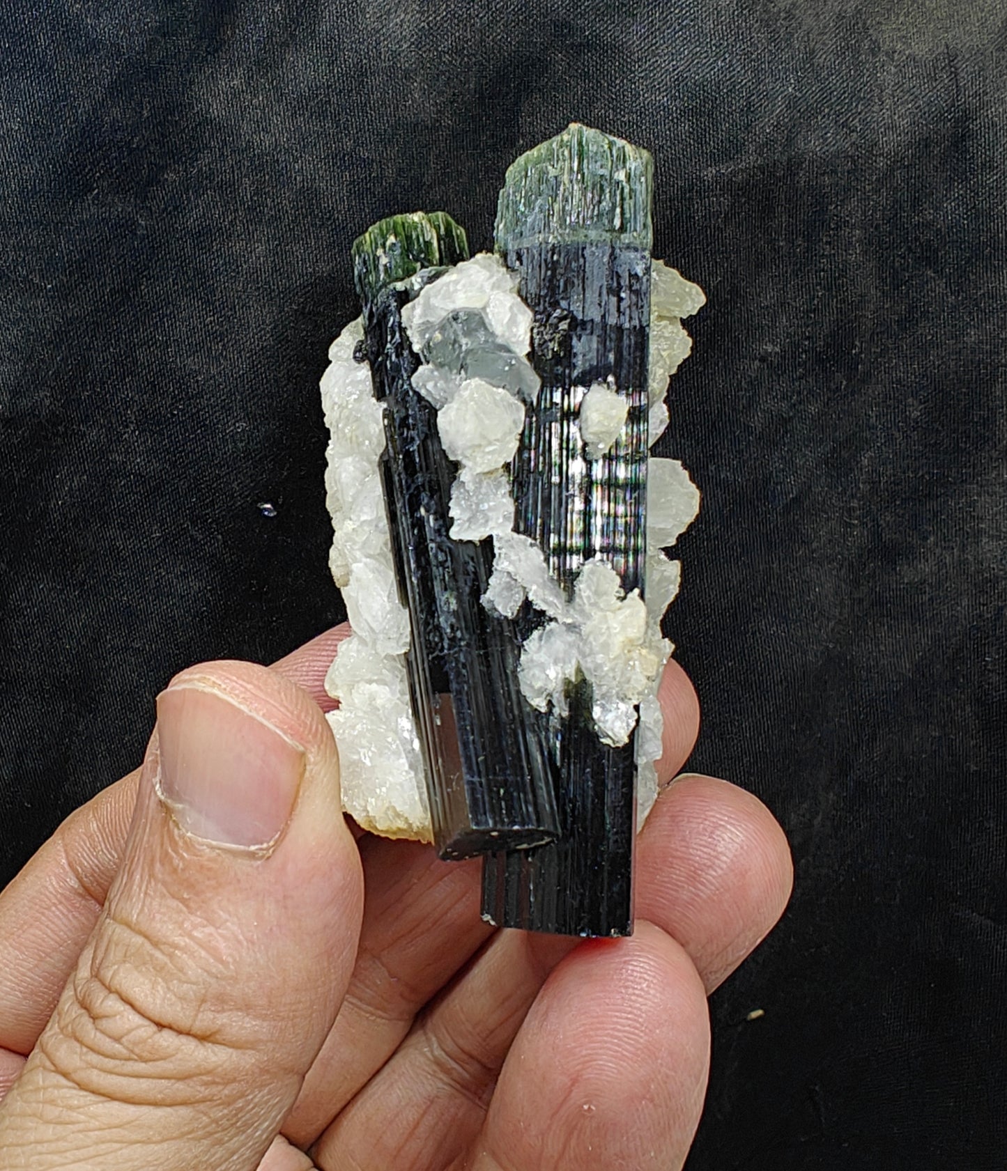 Perfectly terminated specimen of green cap Tourmalines crystals with associated albite 94 grams