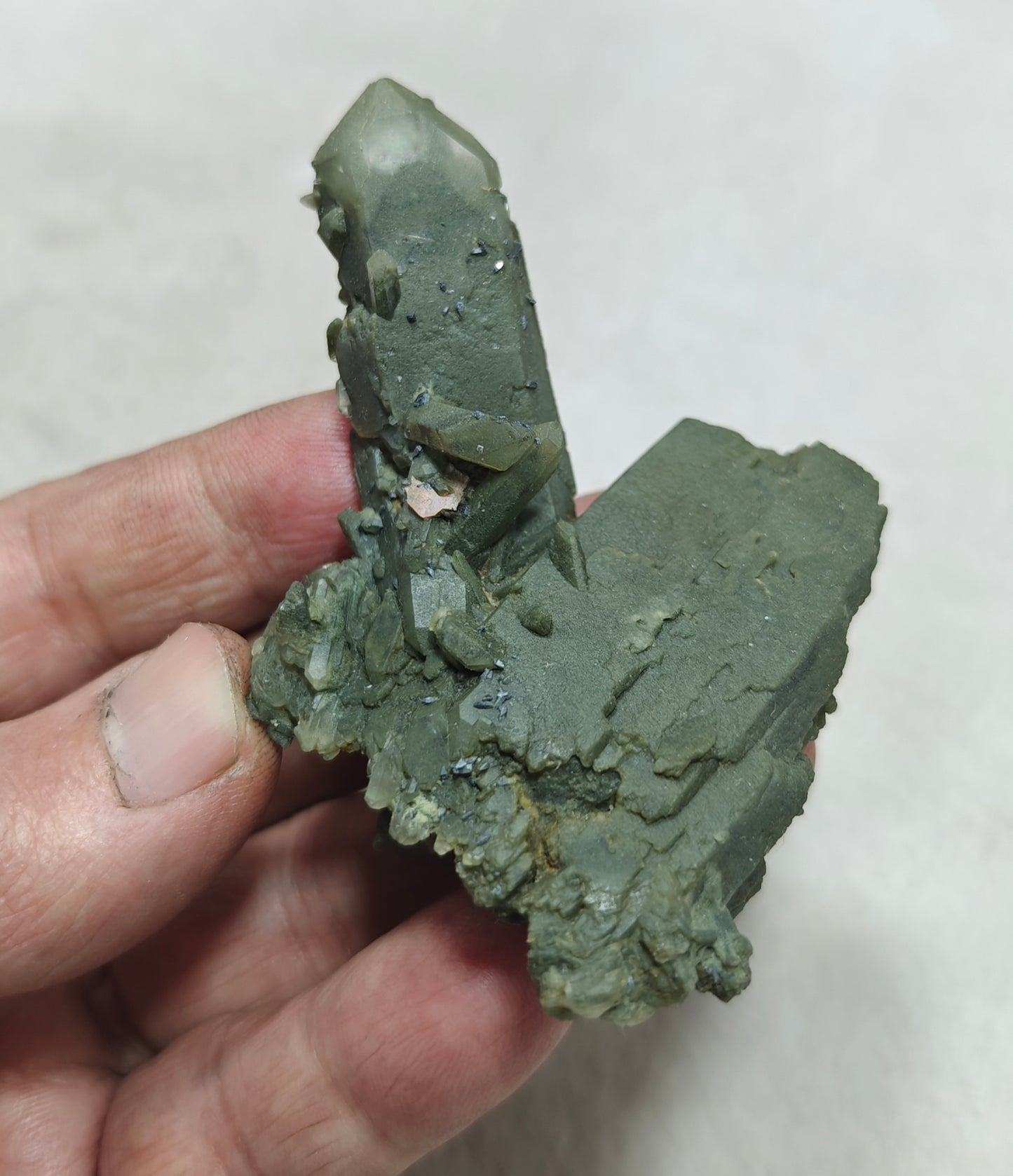 Small anatase crystals on Chlorite Quartz with small brookite 63 grams