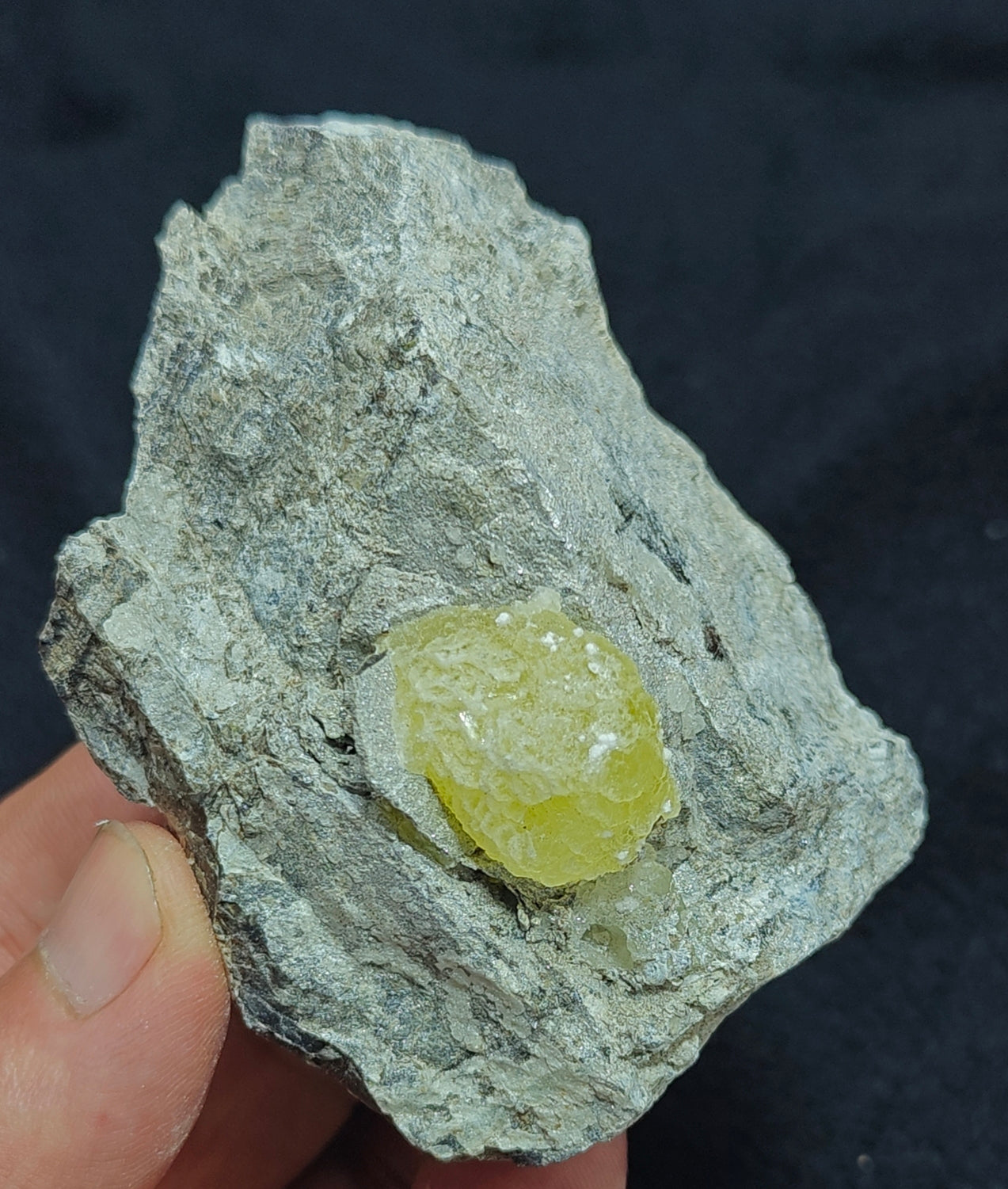 Natural yellow Brucite on matrix 194 grams