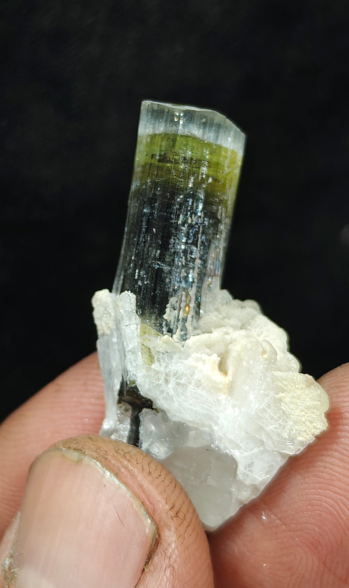 Natural multicolor Tourmaline crystal and associated cleavlandite and a bit of quartz 8 grams
