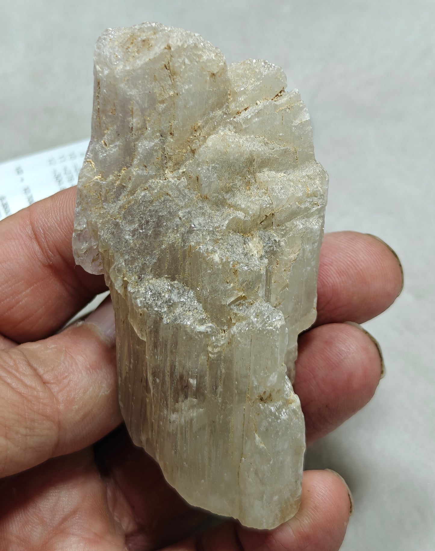 An amazing specimen of Bicolor terminated spodumene crystal 157 grams