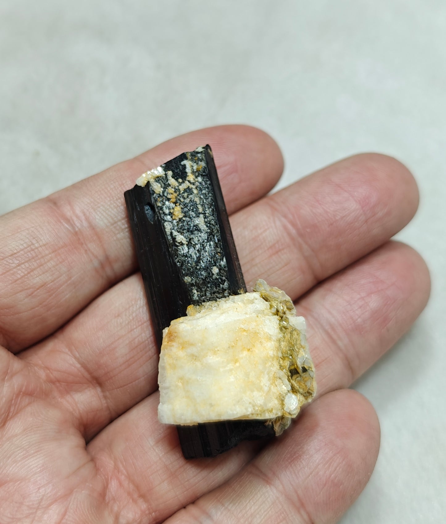 Natural Tourmaline crystal with Albite and Muscovite 38 grams