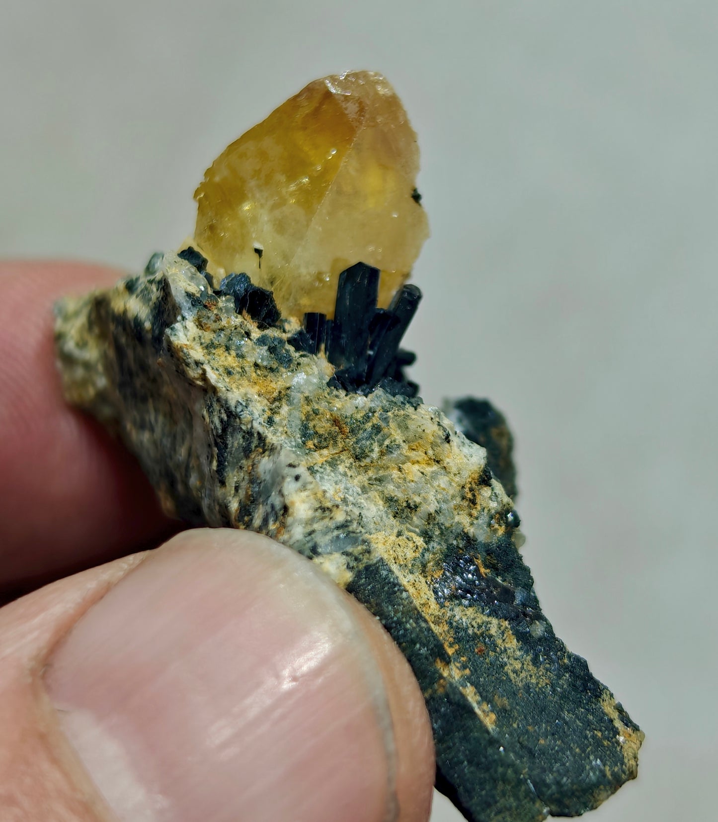 Titanite sphene with actinolite or aegirine on matrix 21g