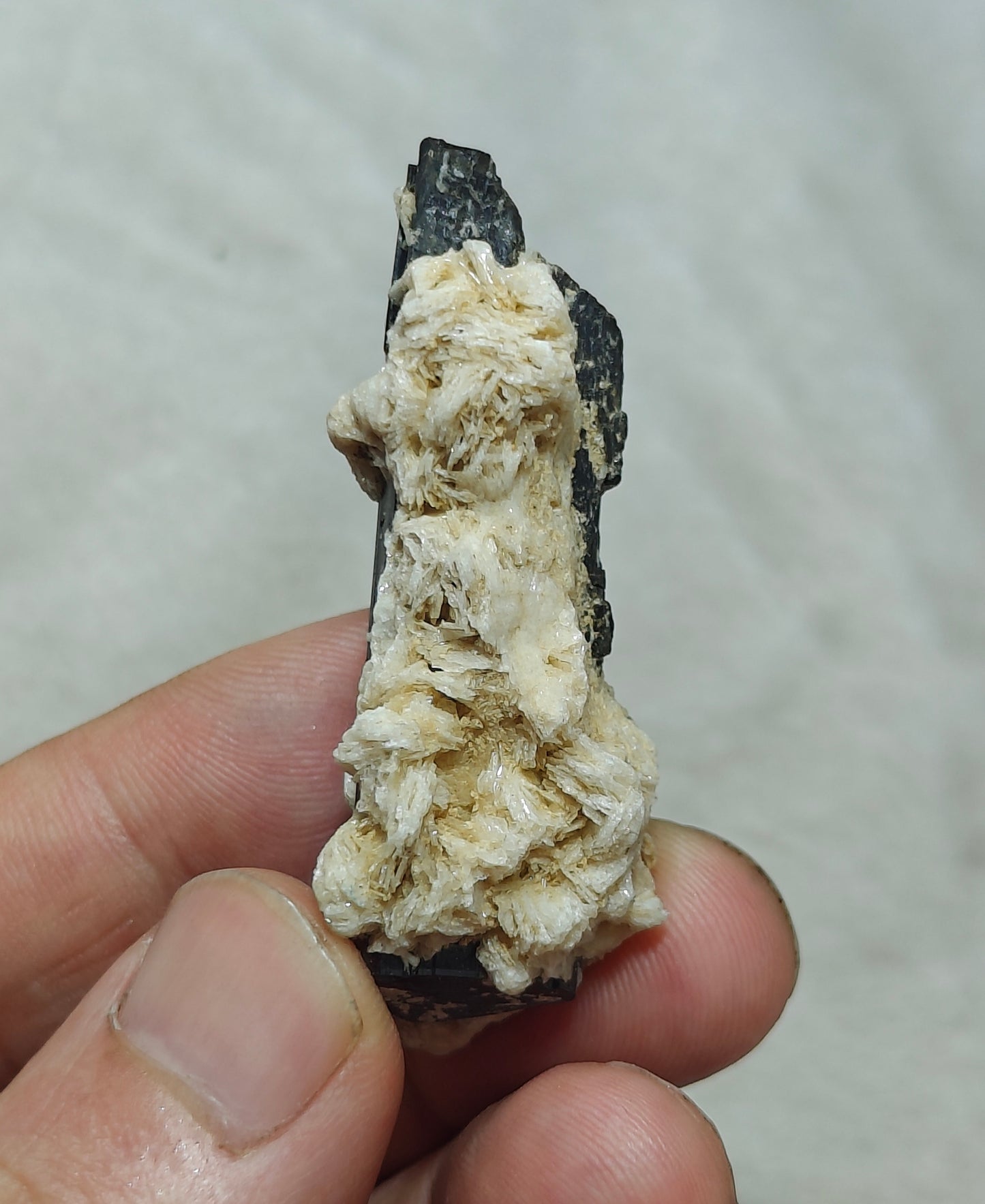 Natural Tourmaline crystal with associated Albite 30 grams