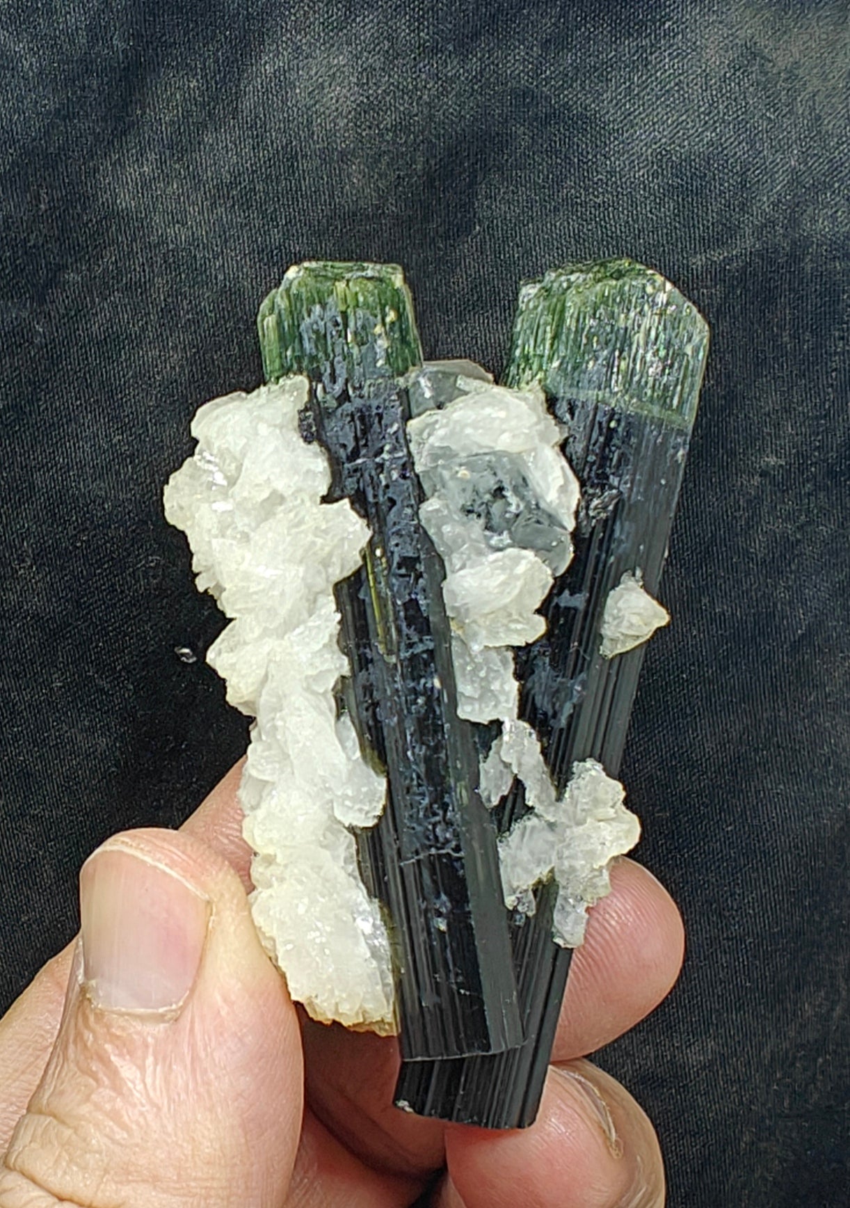 Perfectly terminated specimen of green cap Tourmalines crystals with associated albite 94 grams