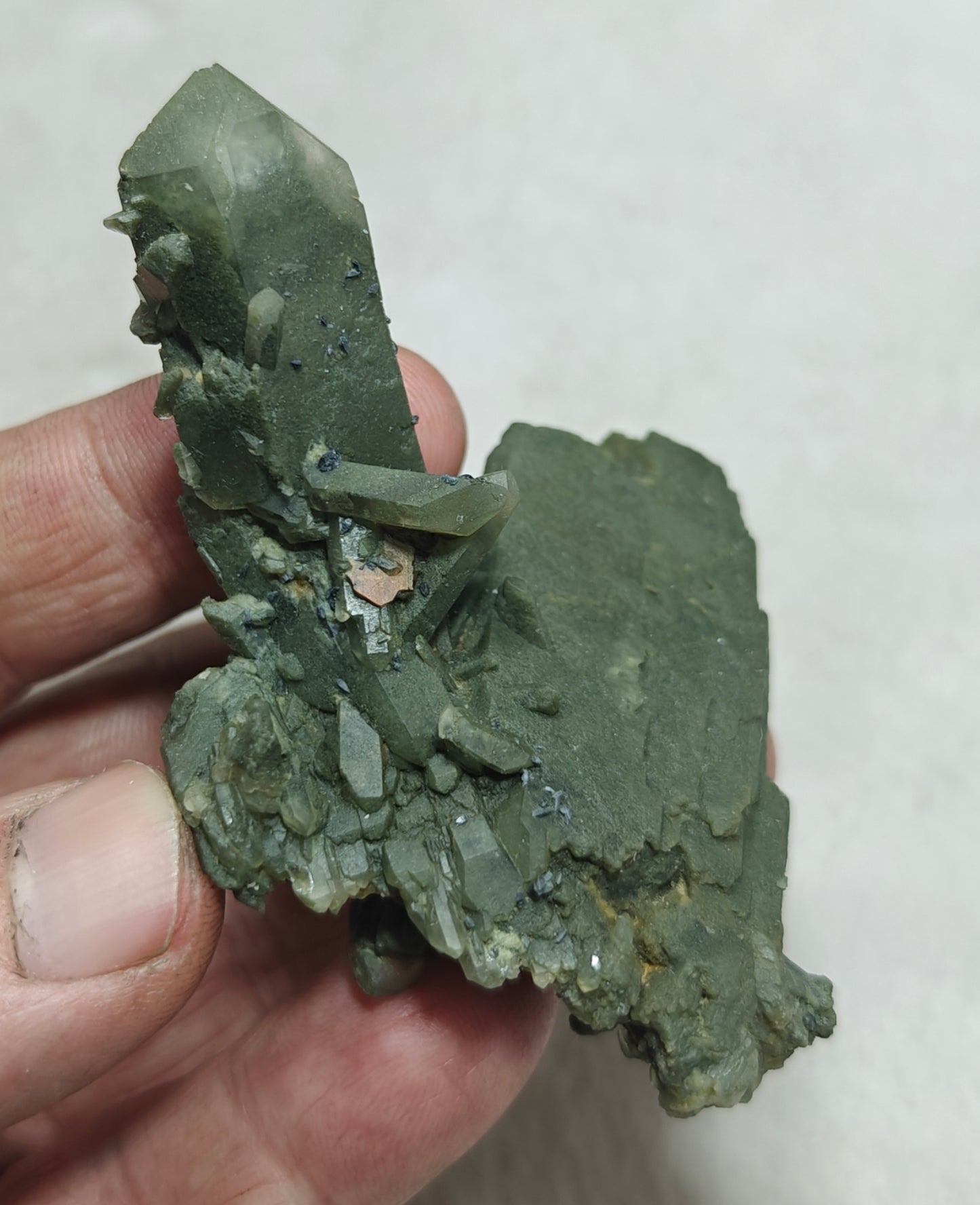 Small anatase crystals on Chlorite Quartz with small brookite 63 grams