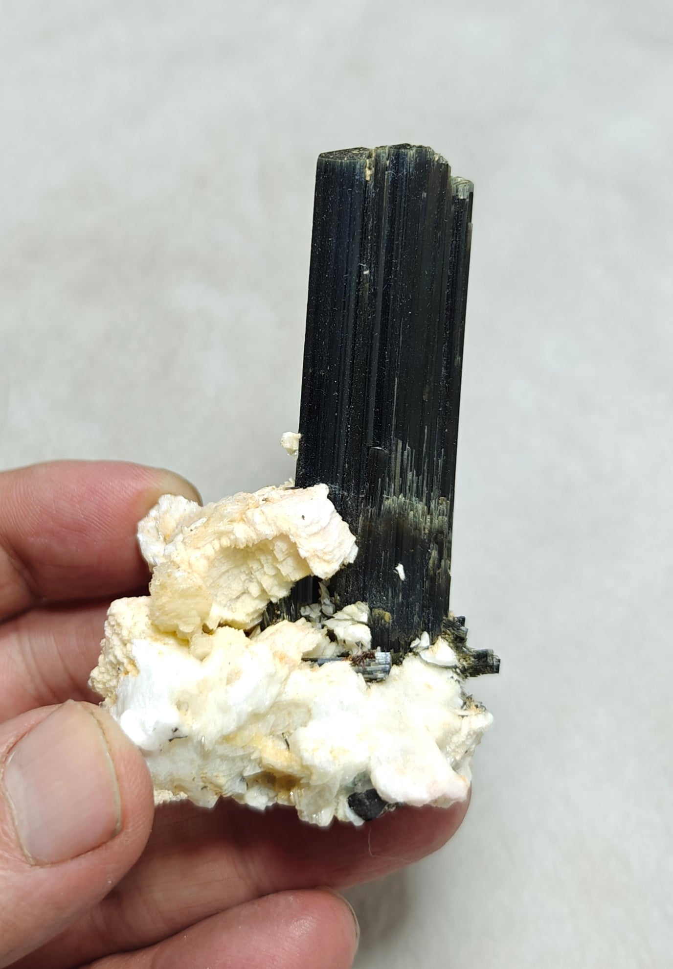 Tourmaline crystals on matrix with Albite attachment self standing 89 grams