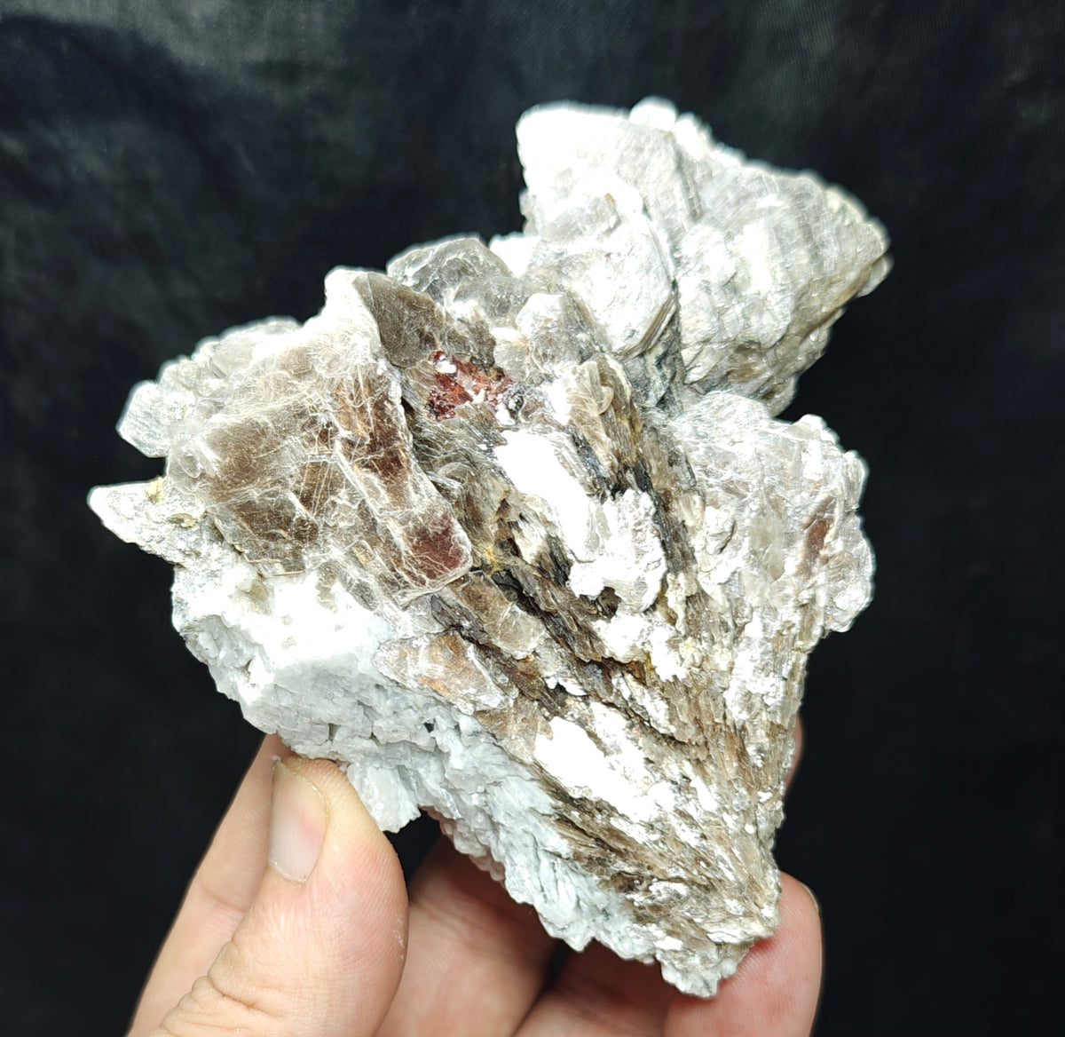 Natural spessartine garnet embedded in muscovite and albite 433 grams
