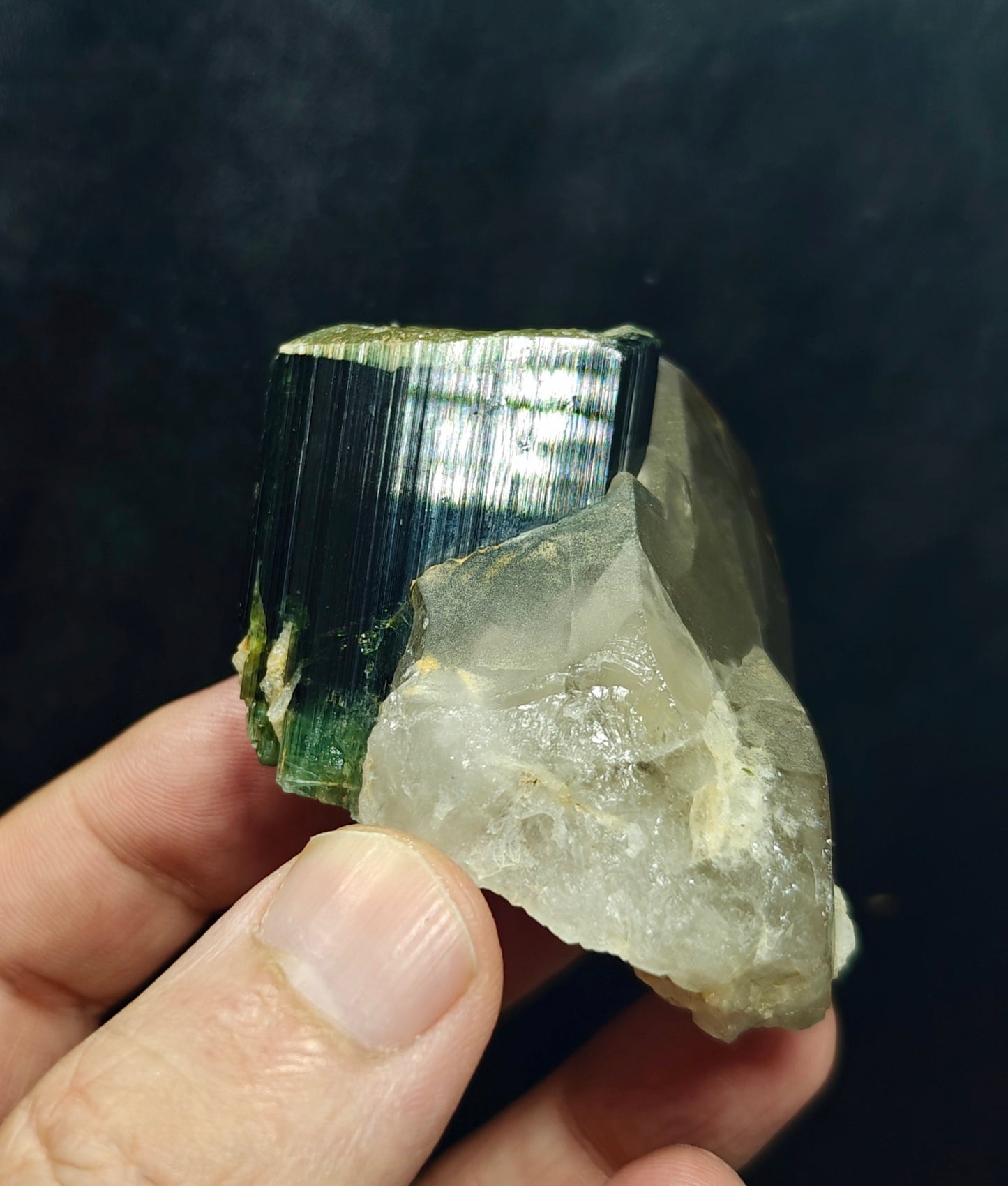 Natural greencap black/green Tourmaline crystal with smoky quartz 212 grams