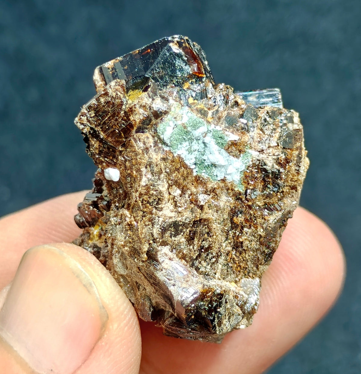 Natural lusterous crystal specimen of dark brown Vesuvianite 30g