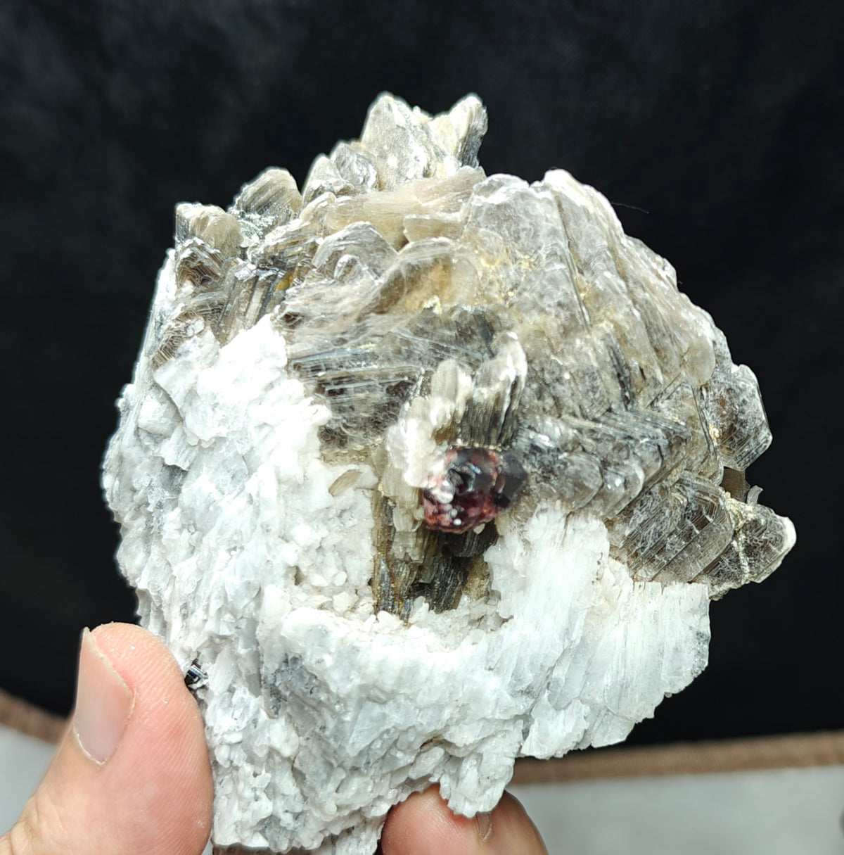 Natural spessartine garnet embedded in muscovite and albite 433 grams