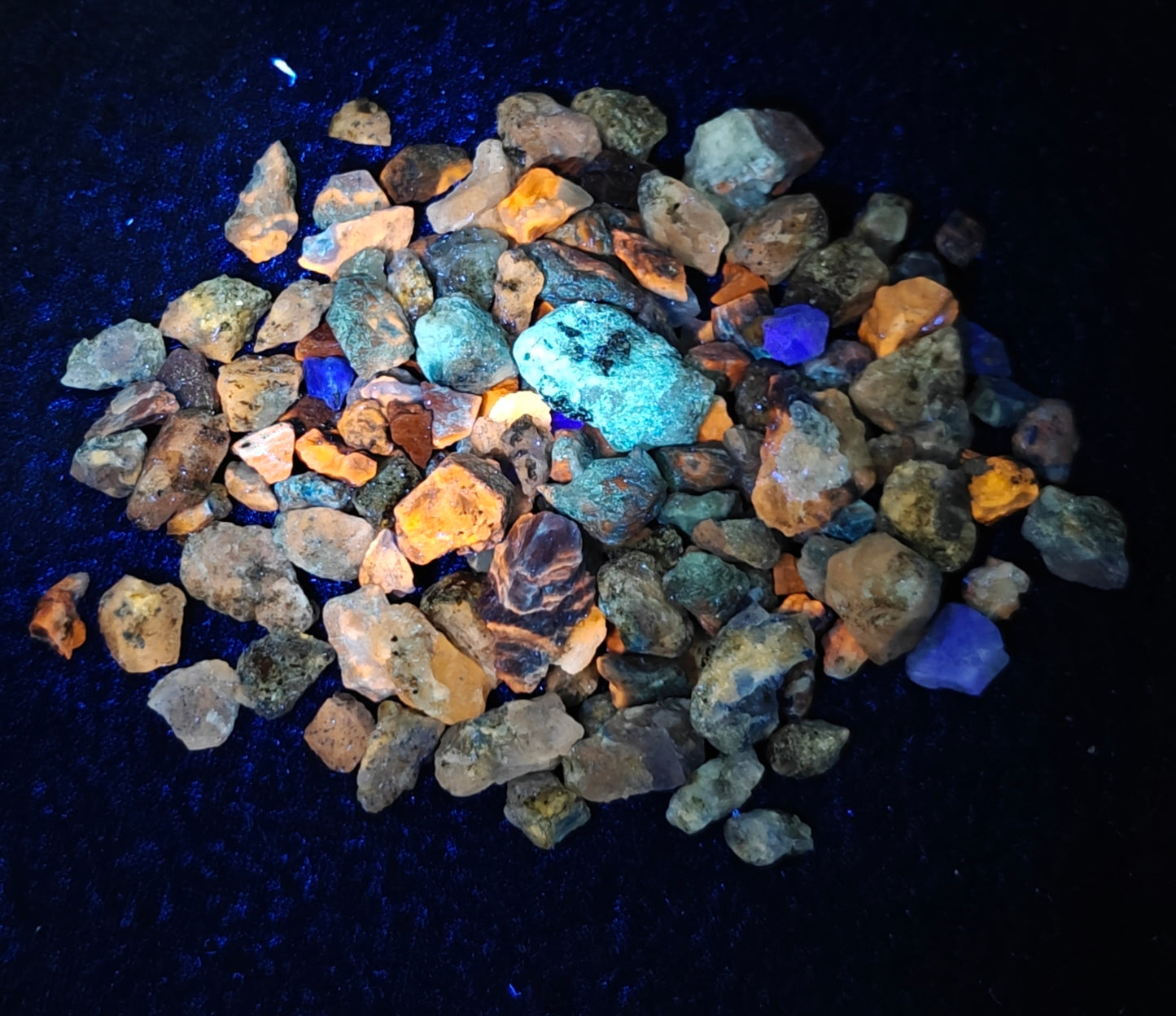 Fluorescent sodalite/Afghanite collection 110 grams
