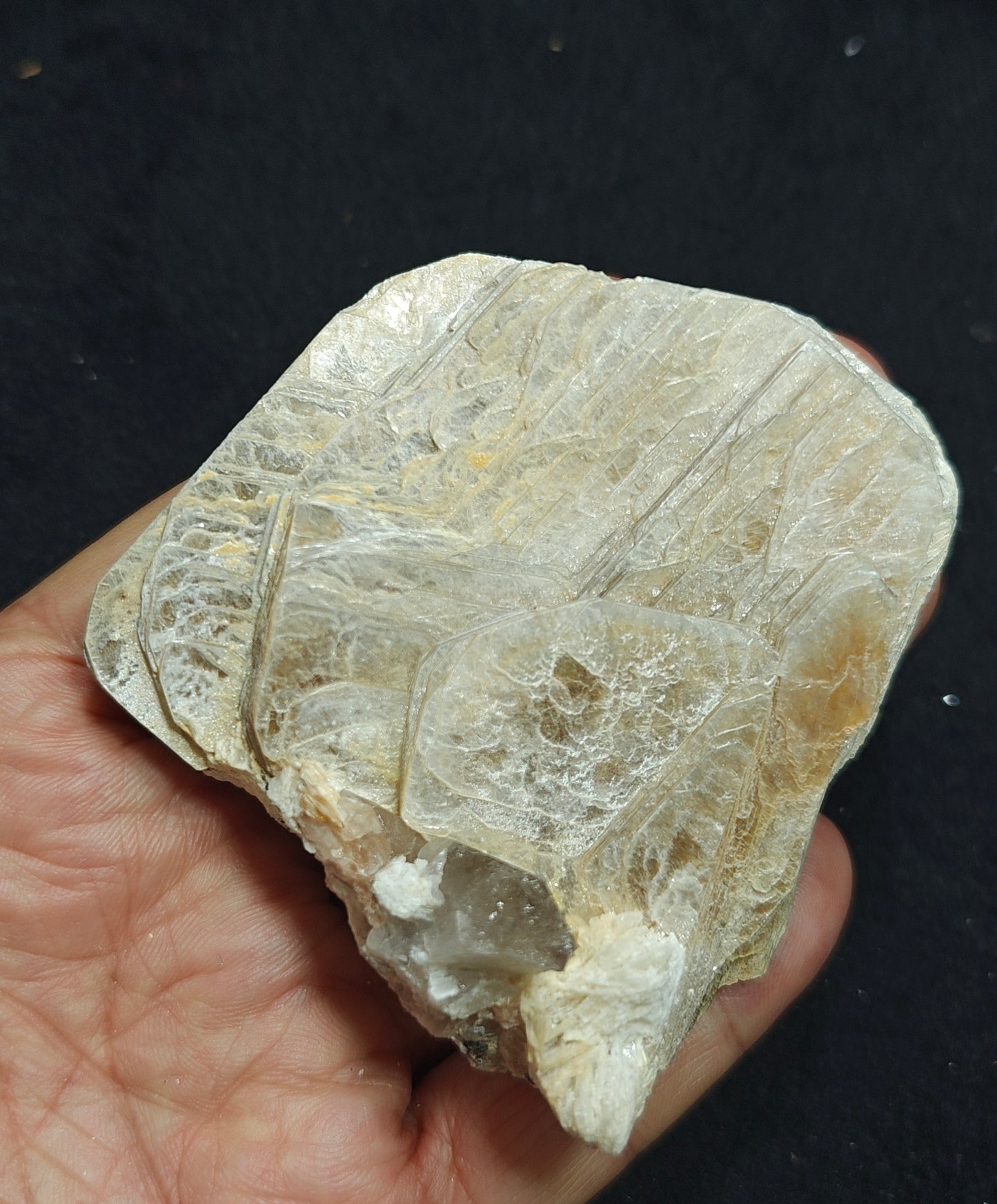 Mica variety muscovite 179 grams