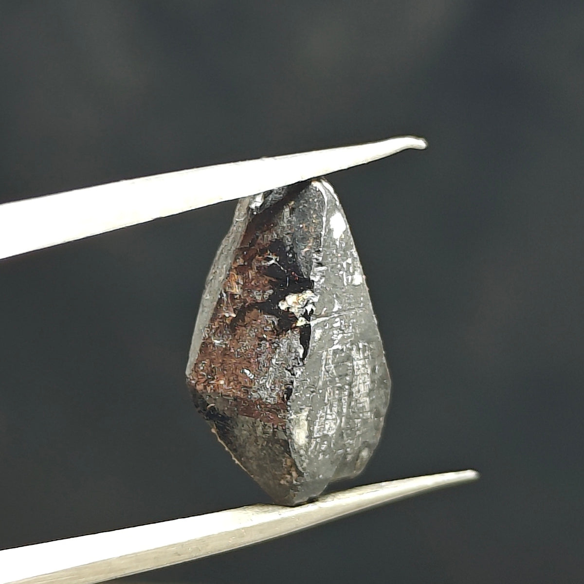 Small Tantalite crystal 4.8 grams