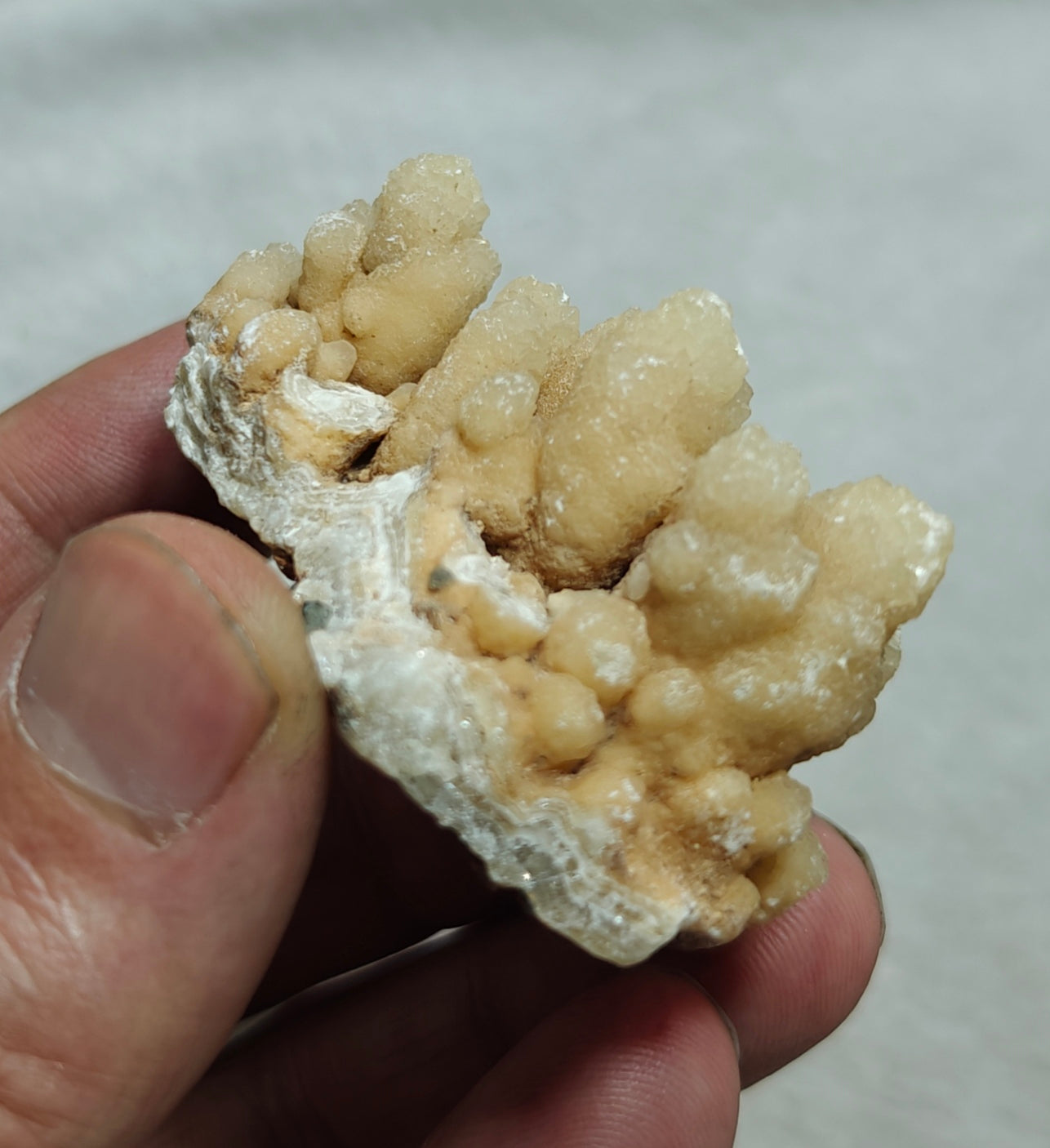 aragonite flower shape natural terminated crystals 61 grams
