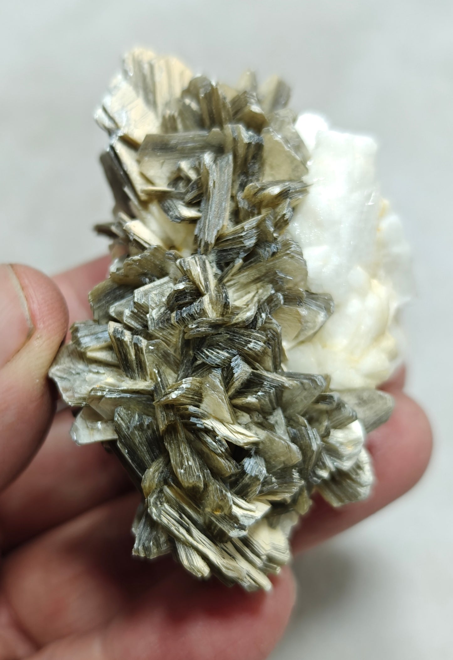 Natural specimen of combination of Albite, Schorl, and Muscovite 137 grams