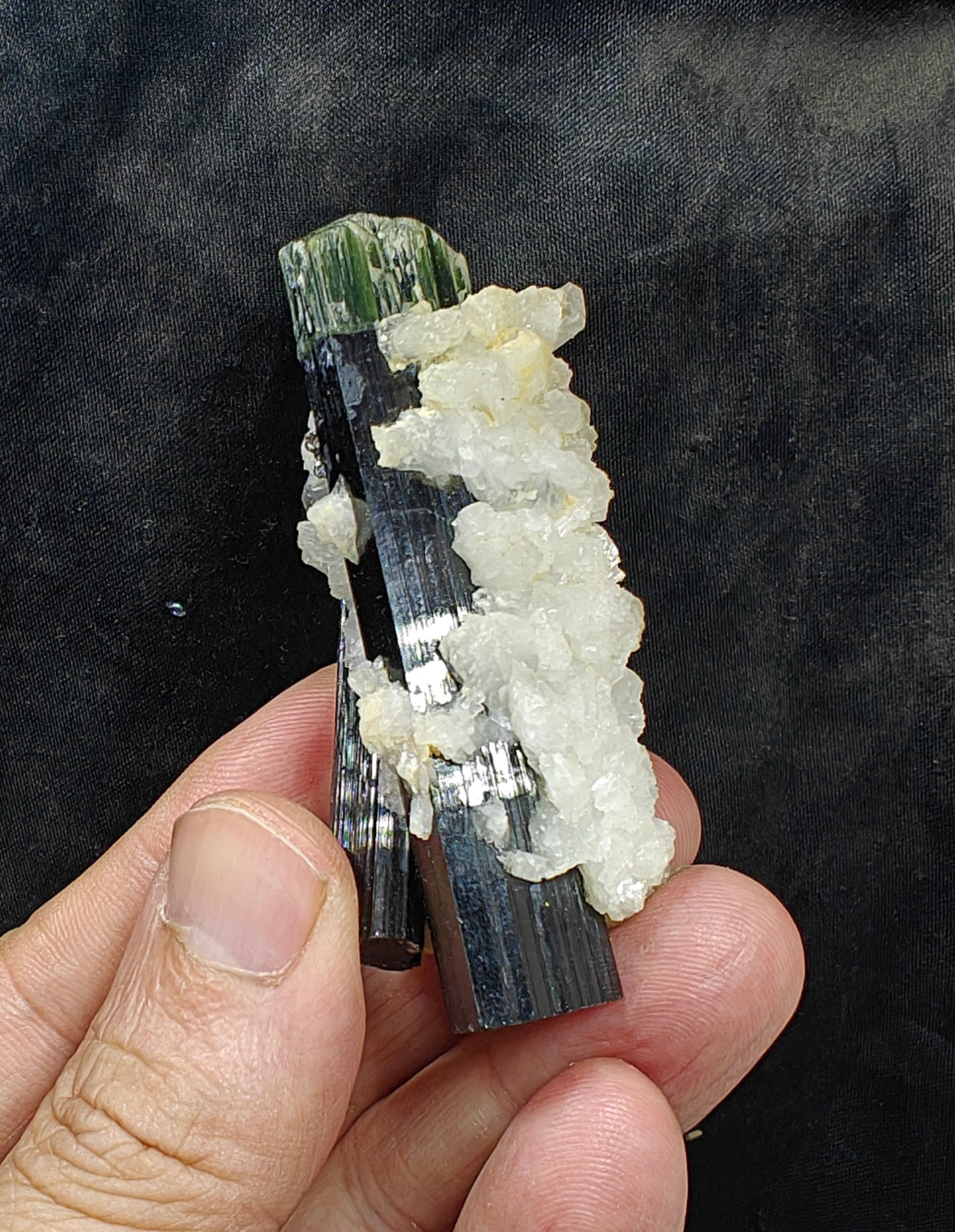 Perfectly terminated specimen of green cap Tourmalines crystals with associated albite 94 grams