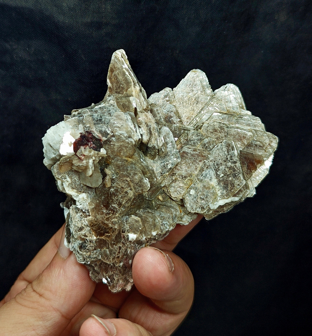 Natural spessartine garnet embedded in muscovite with albite 152 grams