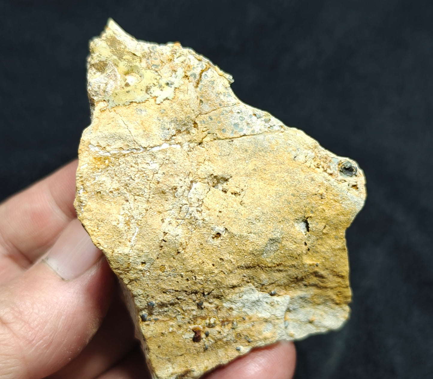 Anatase Crystals with chlorite quartz on matrix with possible pyrite cubes 128 grams