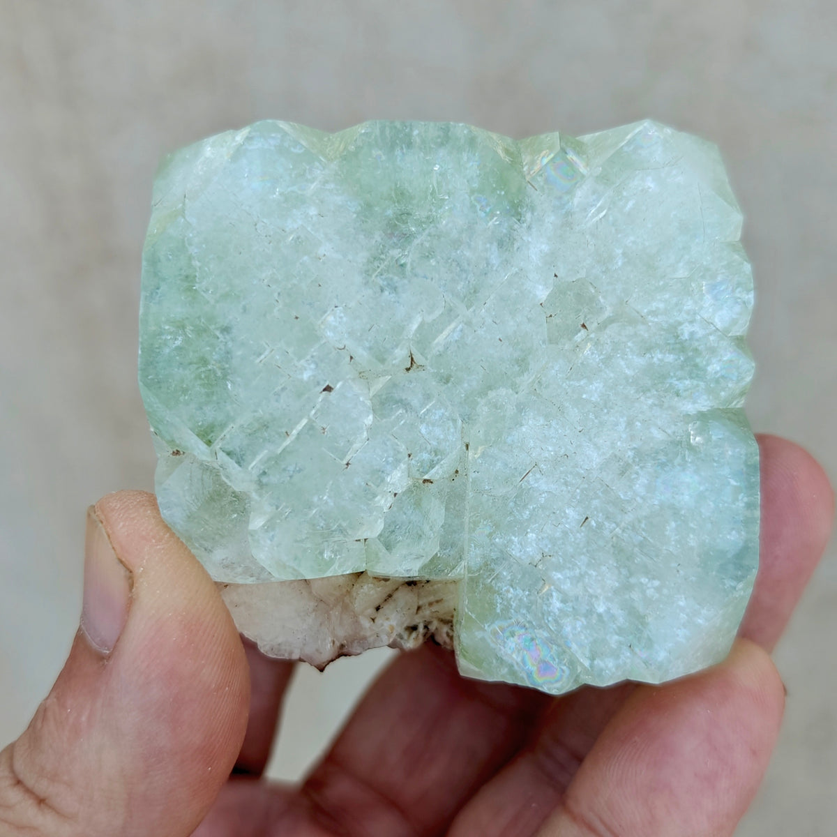 Apophyllite with associated stilbite 237 grams