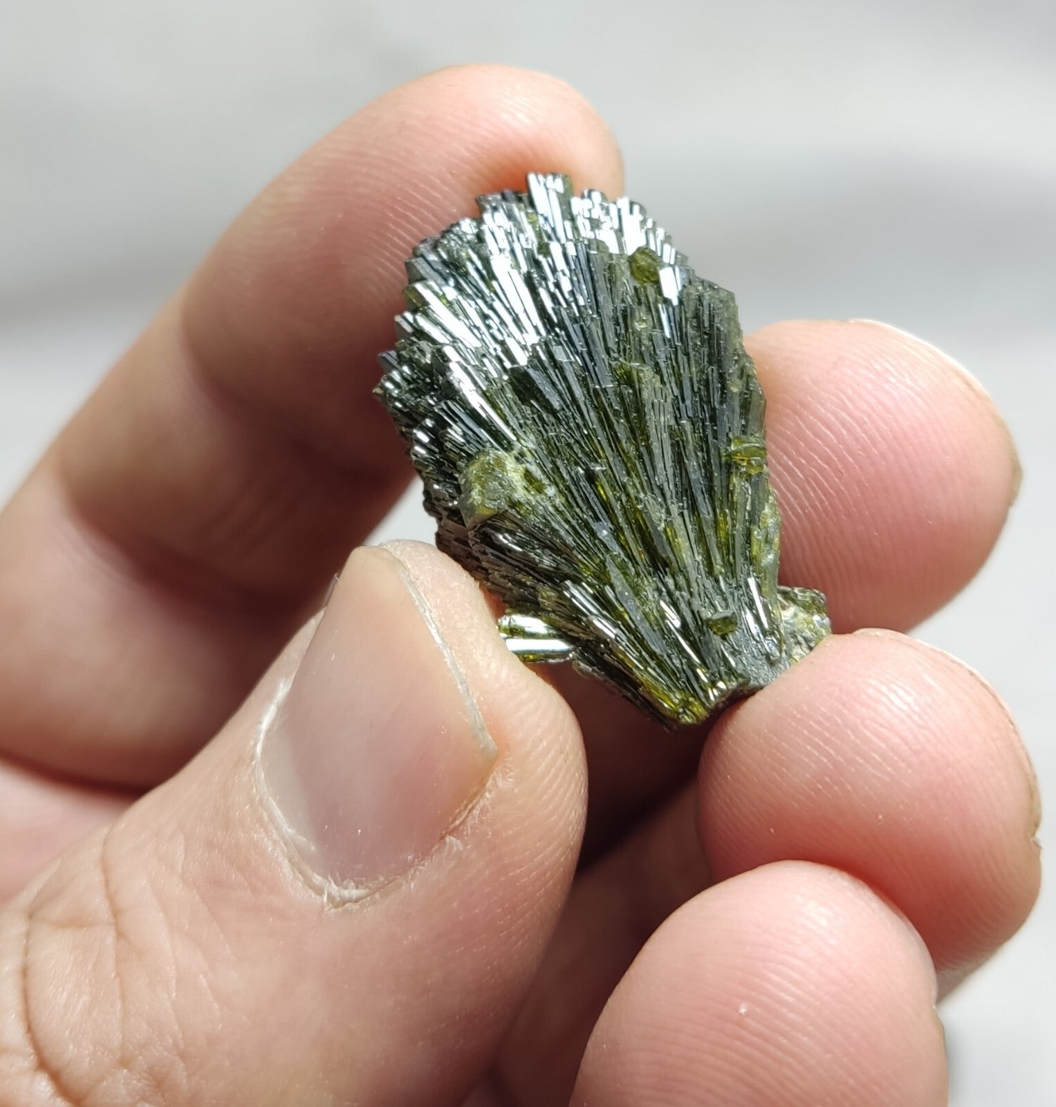 Natural Dark Green Epidotes crystals Random Selection.