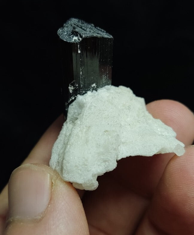 Black Tourmalines Crystal on Matrix of Albite 24 grams