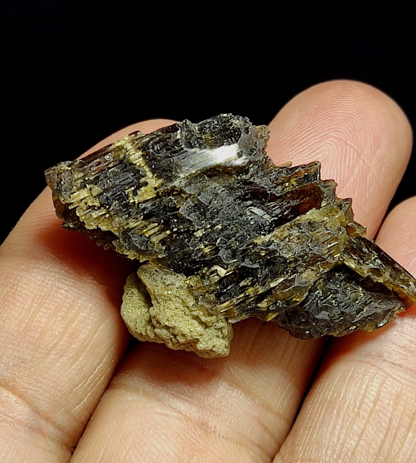 Single etched Epidote Crystal 14 grams