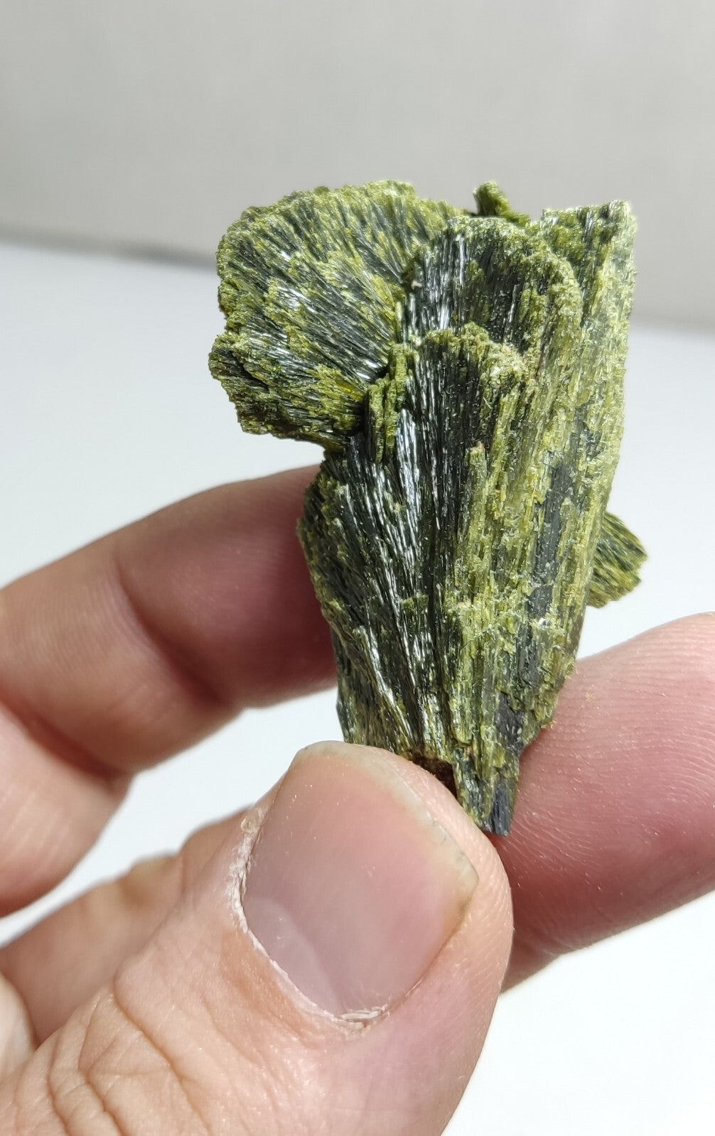 An aesthetic specimen of epidote crystal spray type 29 grams