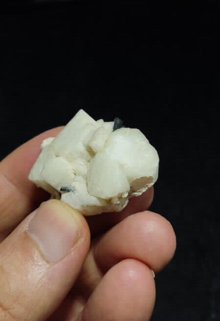 Tourmaline on albite