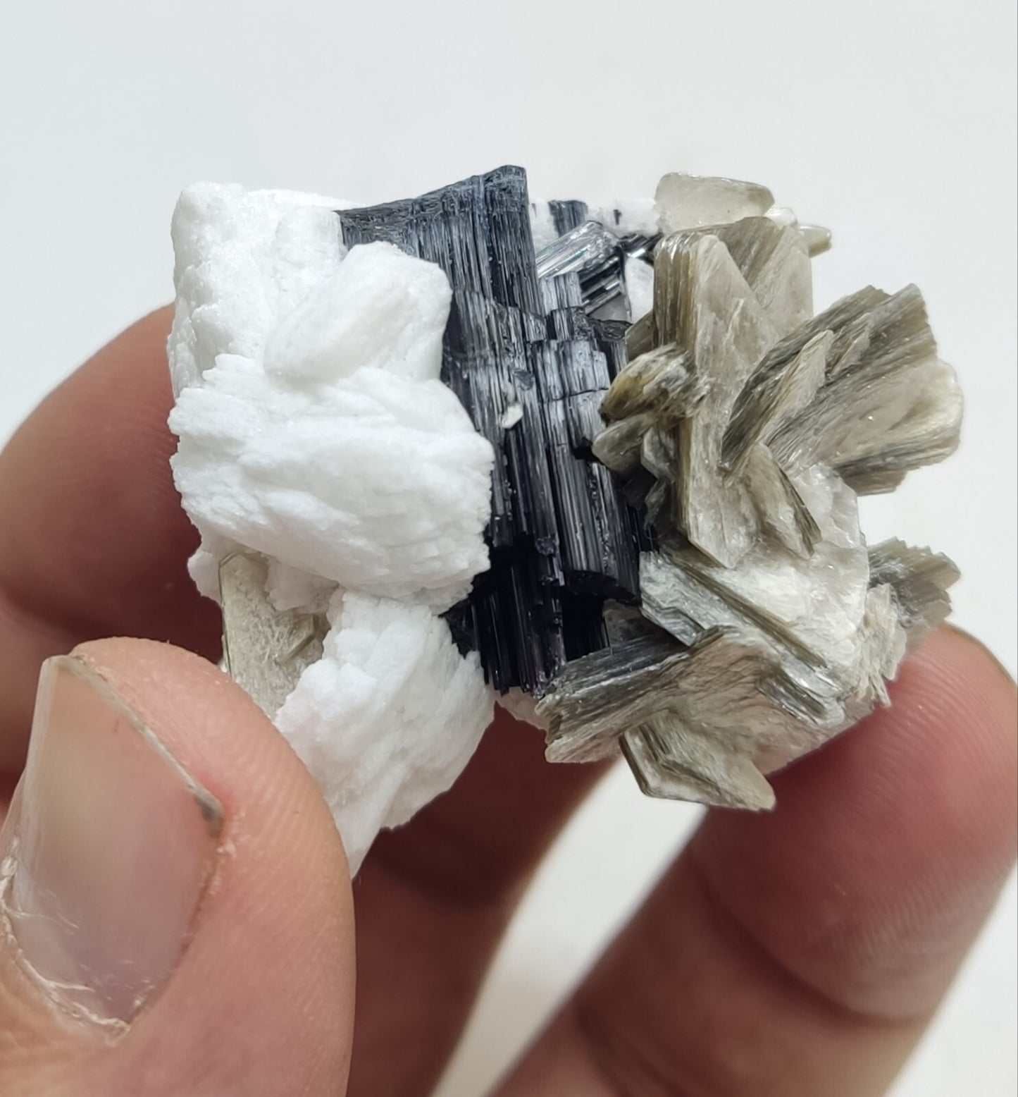 An Aesthetic specimen of muscovite with Tourmaline and albite 40 grams