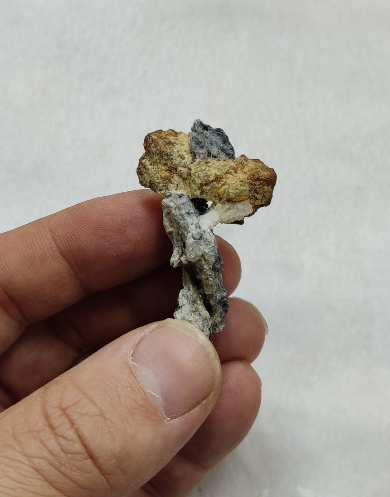 An amazing specimen of siderite on matrix 14 grams