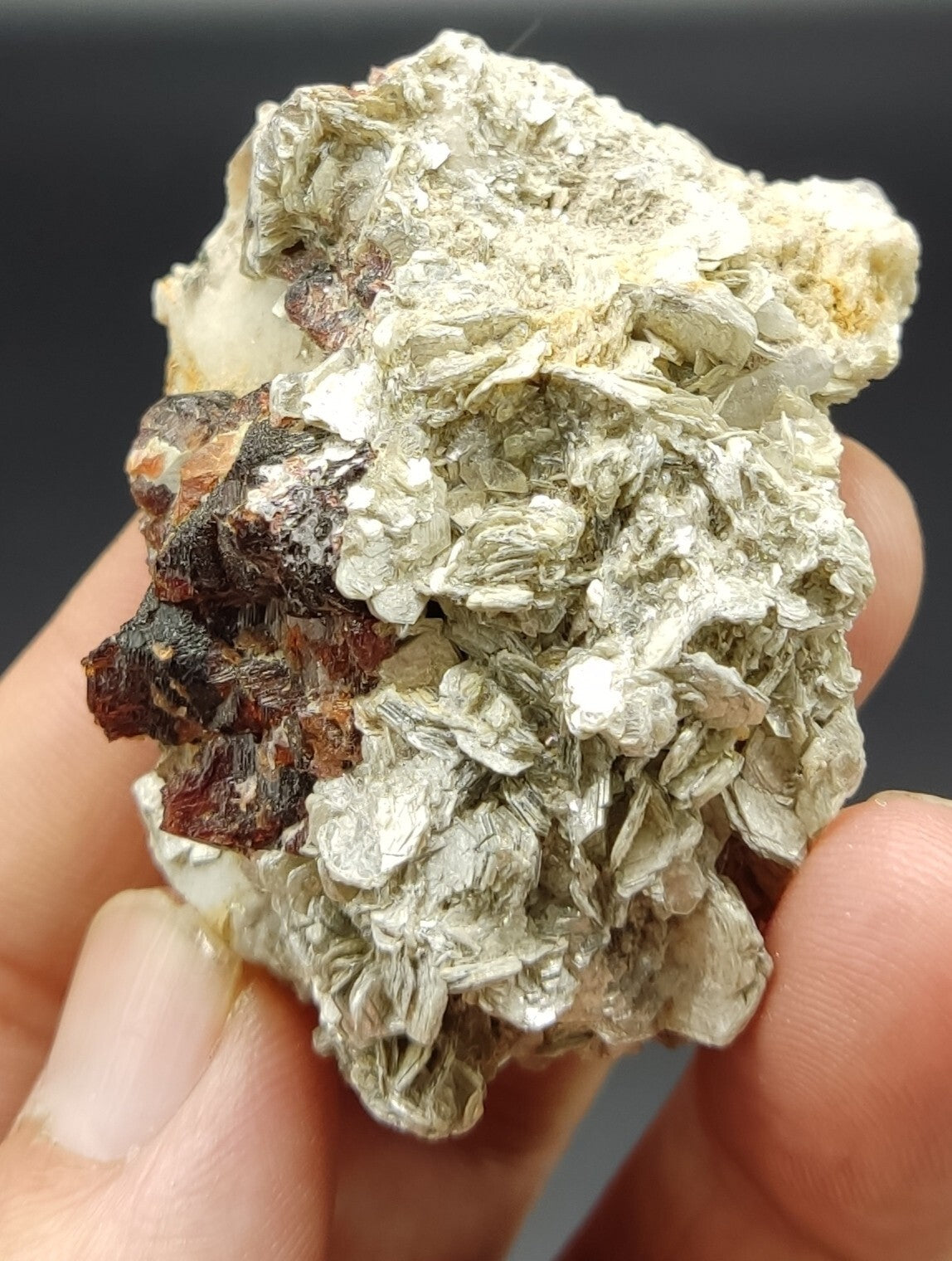 An aesthetic specimen of spessartine garnets on muscovite 58 grams