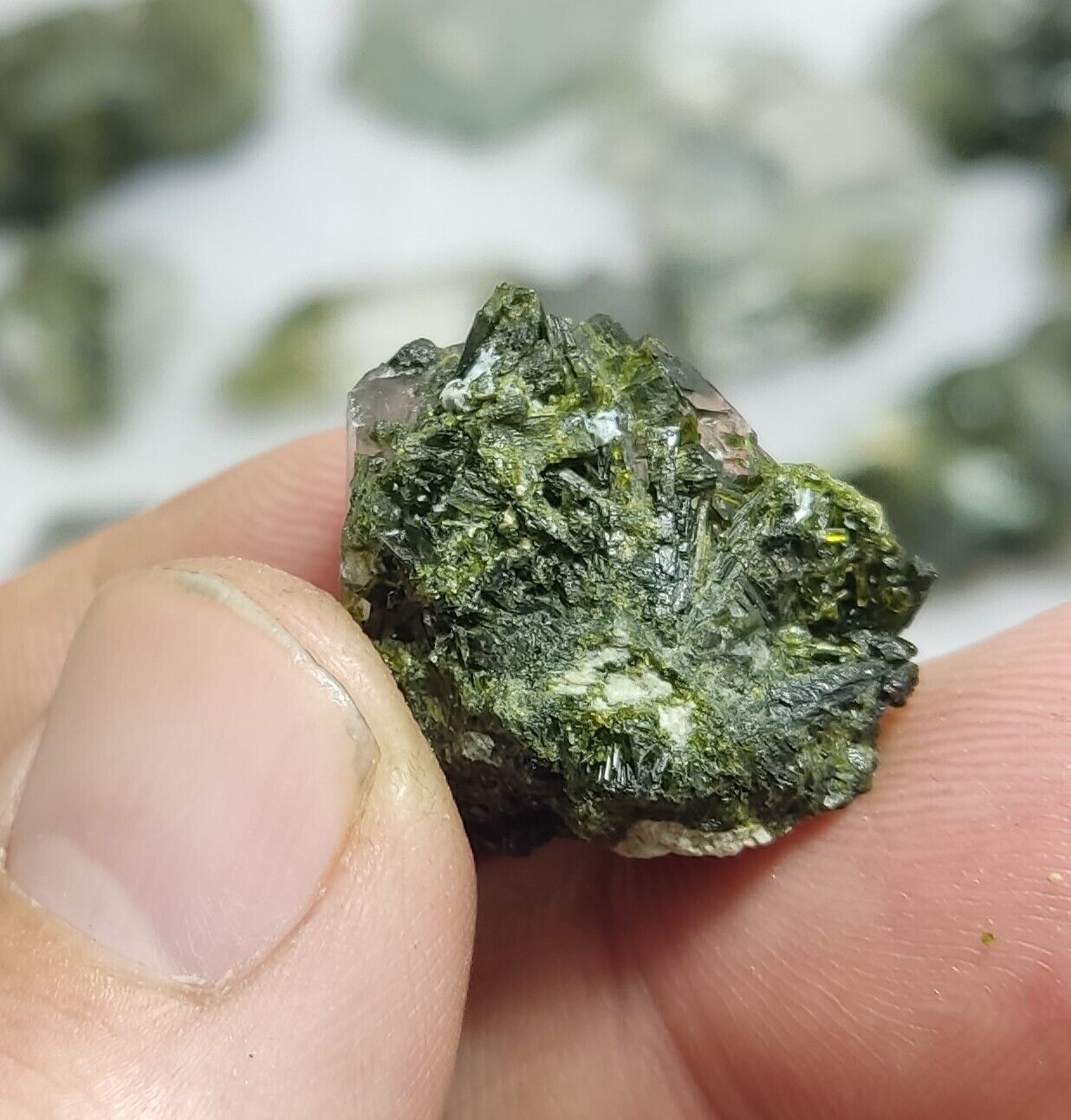 260 grams epidote Quartz crystals