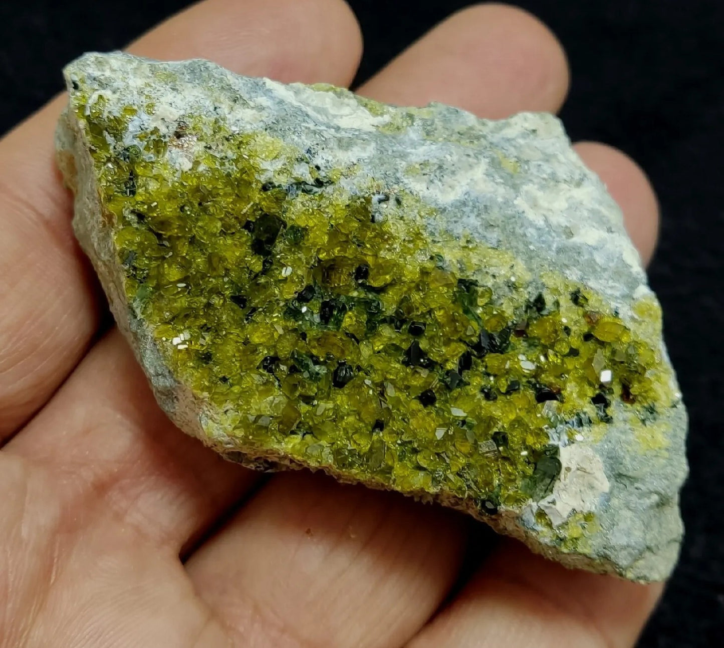 Andradite Garnet On Matrix With Epidotes 101 grams