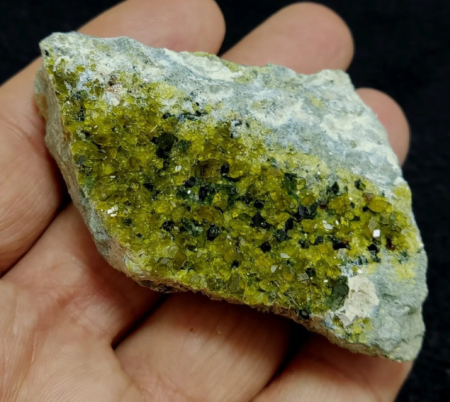 Andradite Garnet On Matrix With Epidotes 101 grams