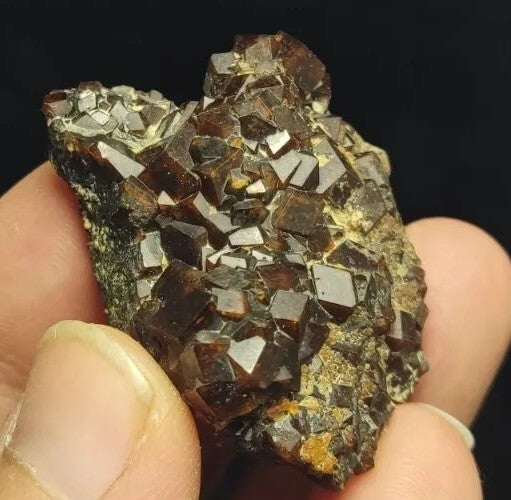 Natural Andradite Garnets Cluster 51 grams