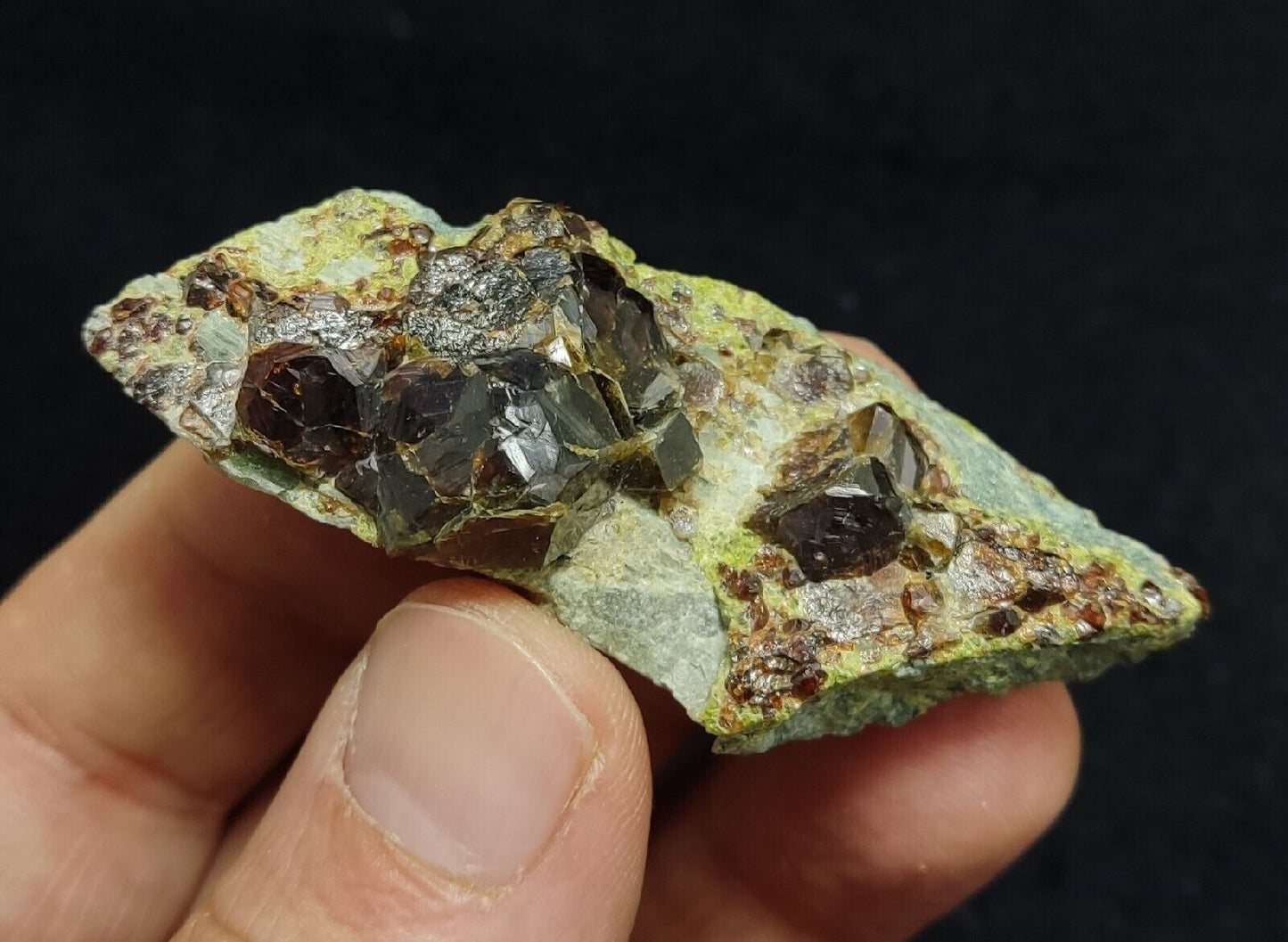 Andradite garnets on matrix with epidote 43 grams