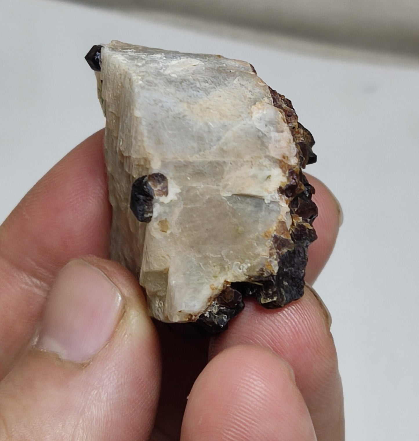 38 grams Aesthetic specimen Garnets cluster andradite garnets natural garnets