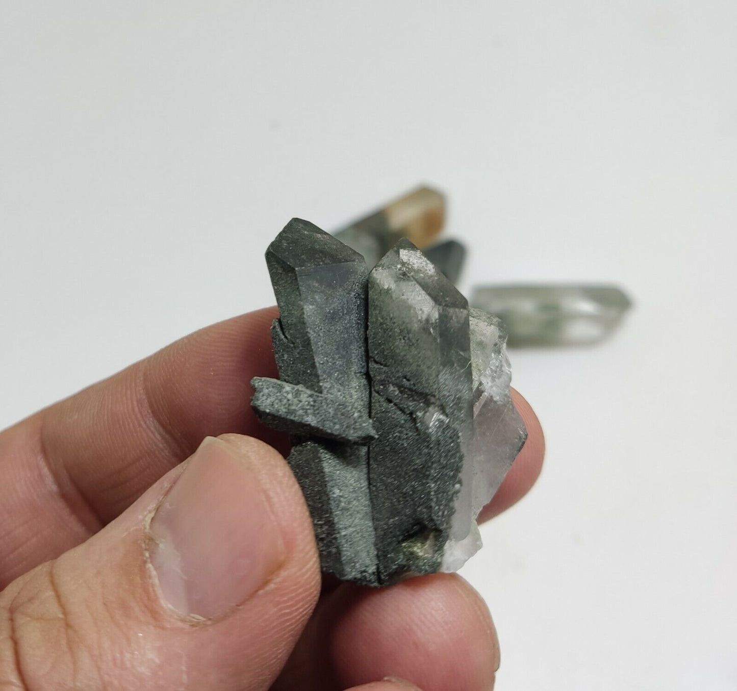 An Aesthetic collection of 6 terminated Chlorite Quartz crystals 83 grams